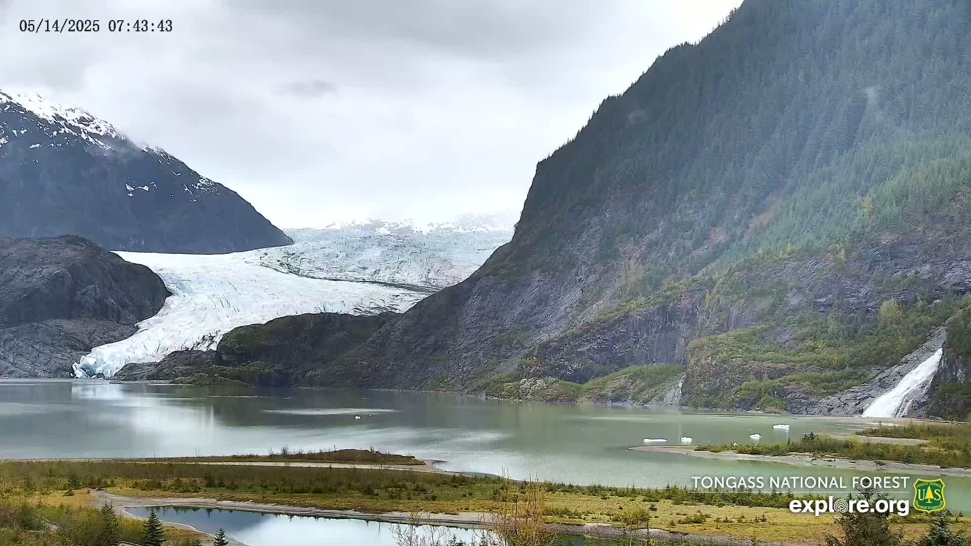 A glacier flows into a calm lake nestled between steep, forested mountains under an overcast sky.