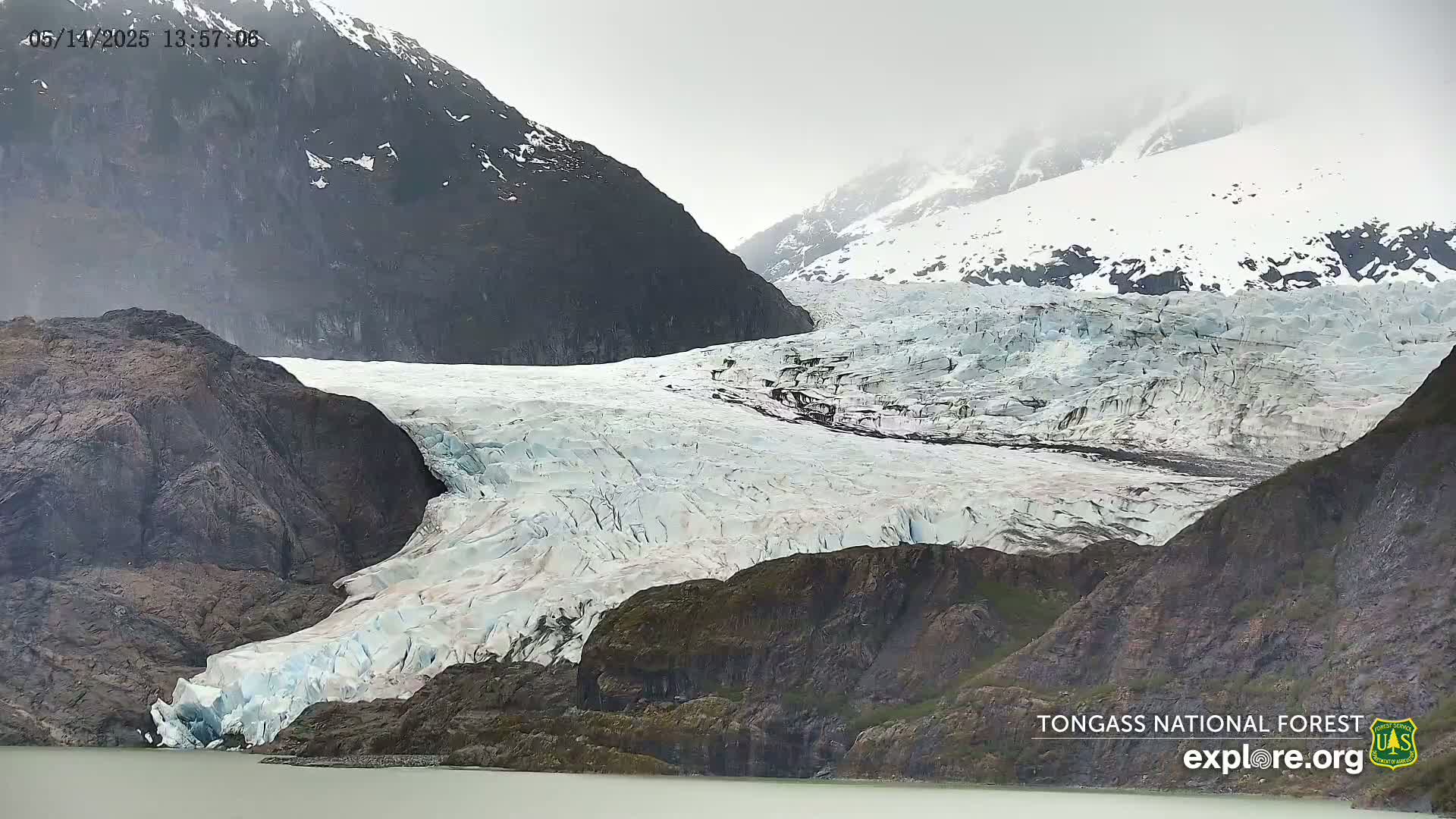 A large glacier flows down a mountain valley into a body of water, under an overcast sky.