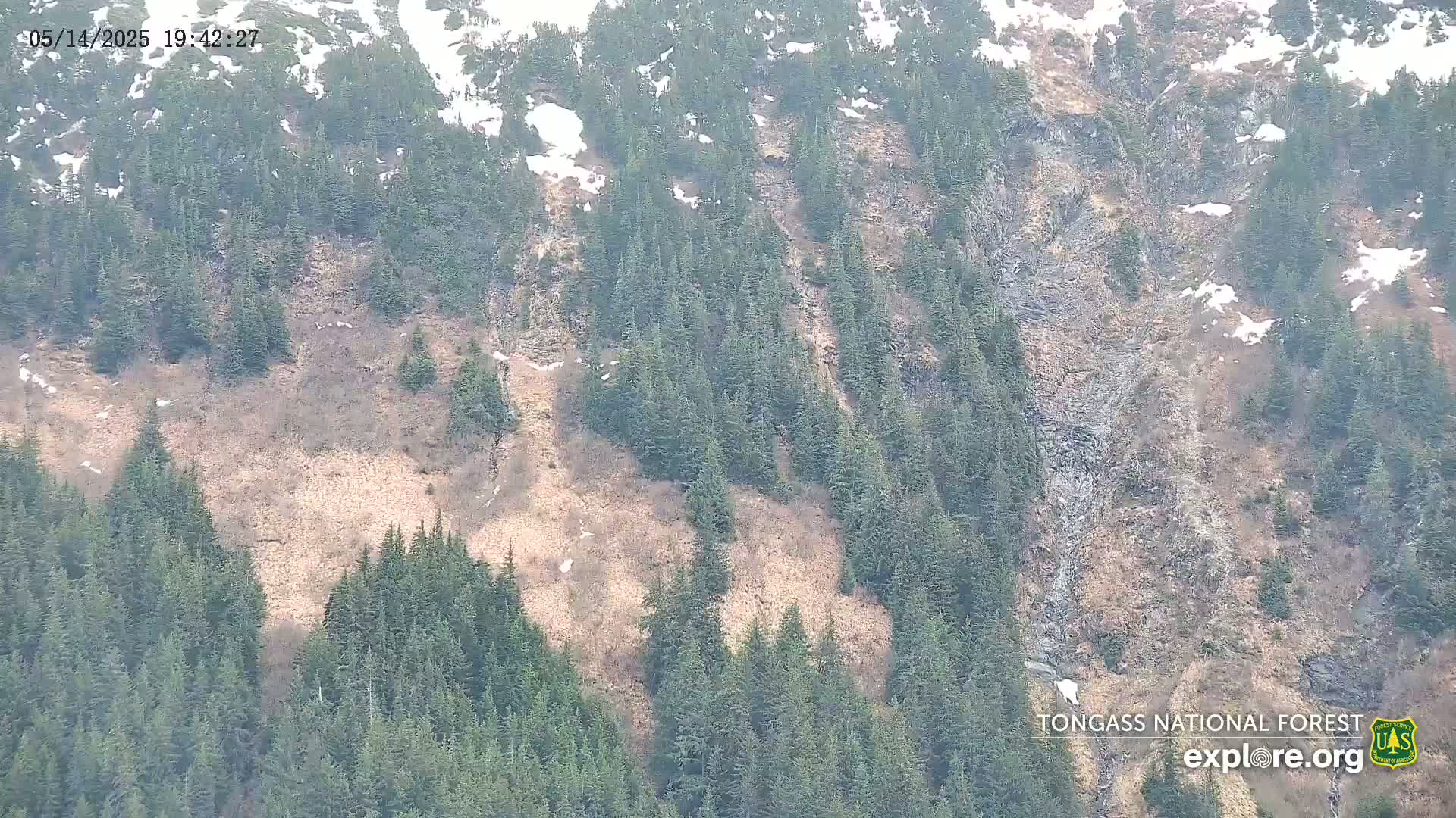 Mendenhall Glacier , Lake & Mountain Live Cam - Mendenhall Valley, Juneau, Alaska, USA