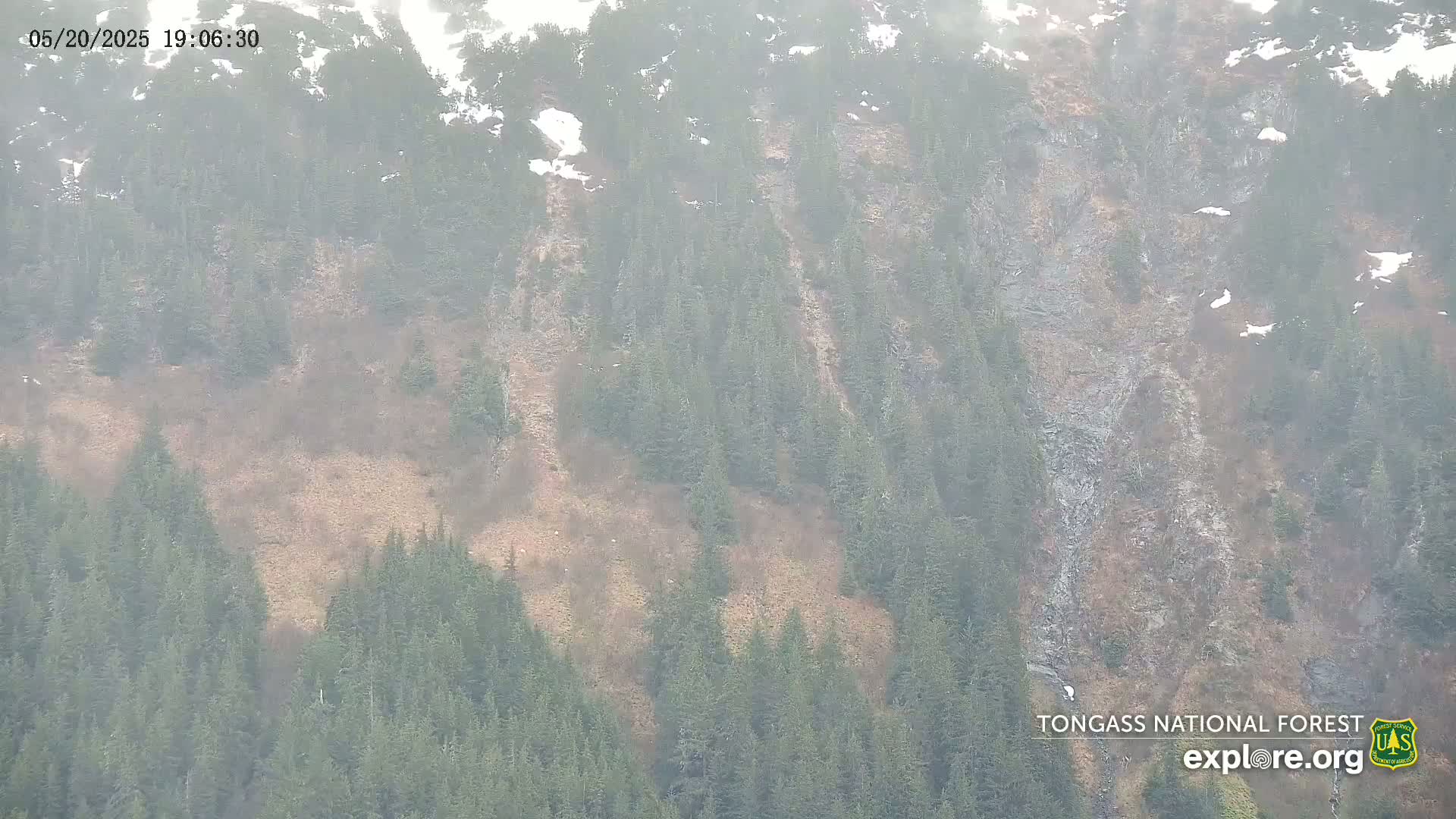 Mendenhall Glacier , Lake & Mountain Live Cam - Mendenhall Valley, Juneau, Alaska, USA