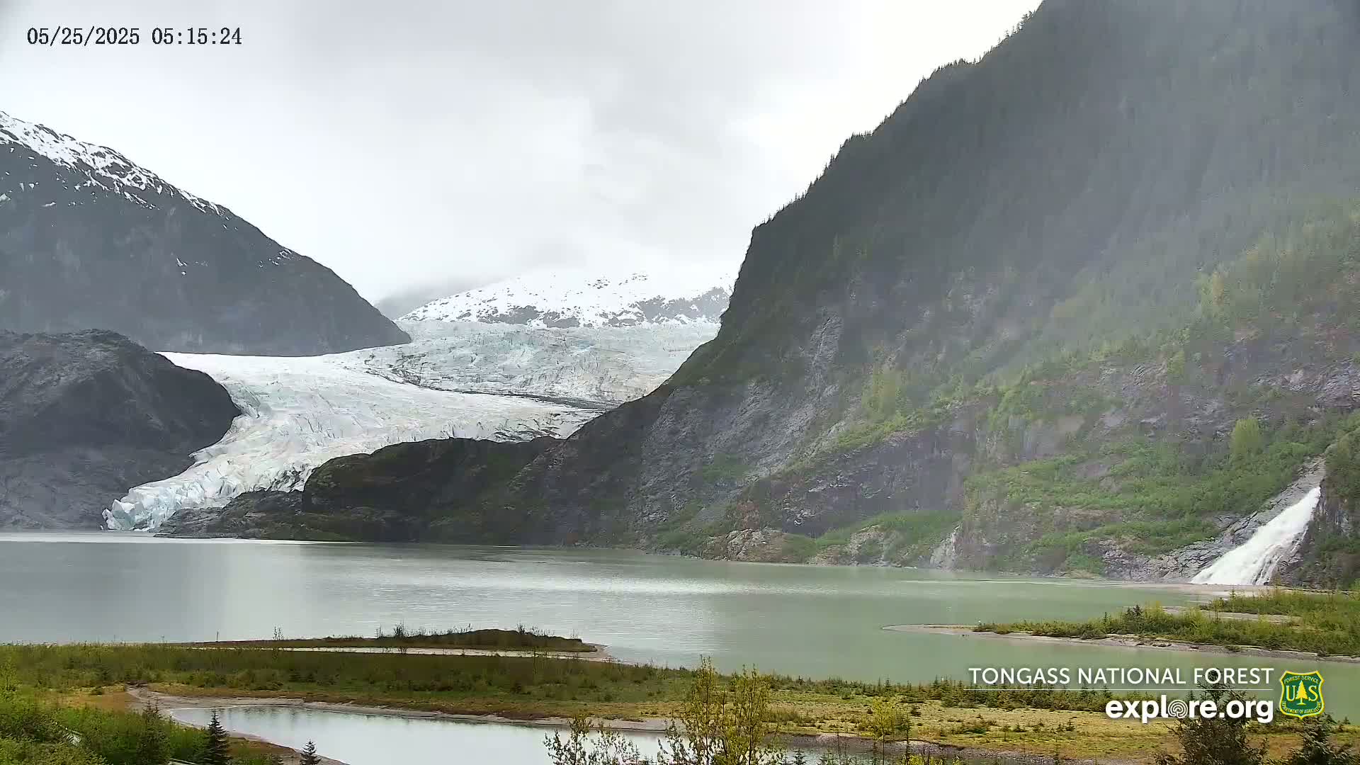 A glacier flows into a calm lake nestled between steep, green mountains under an overcast sky.