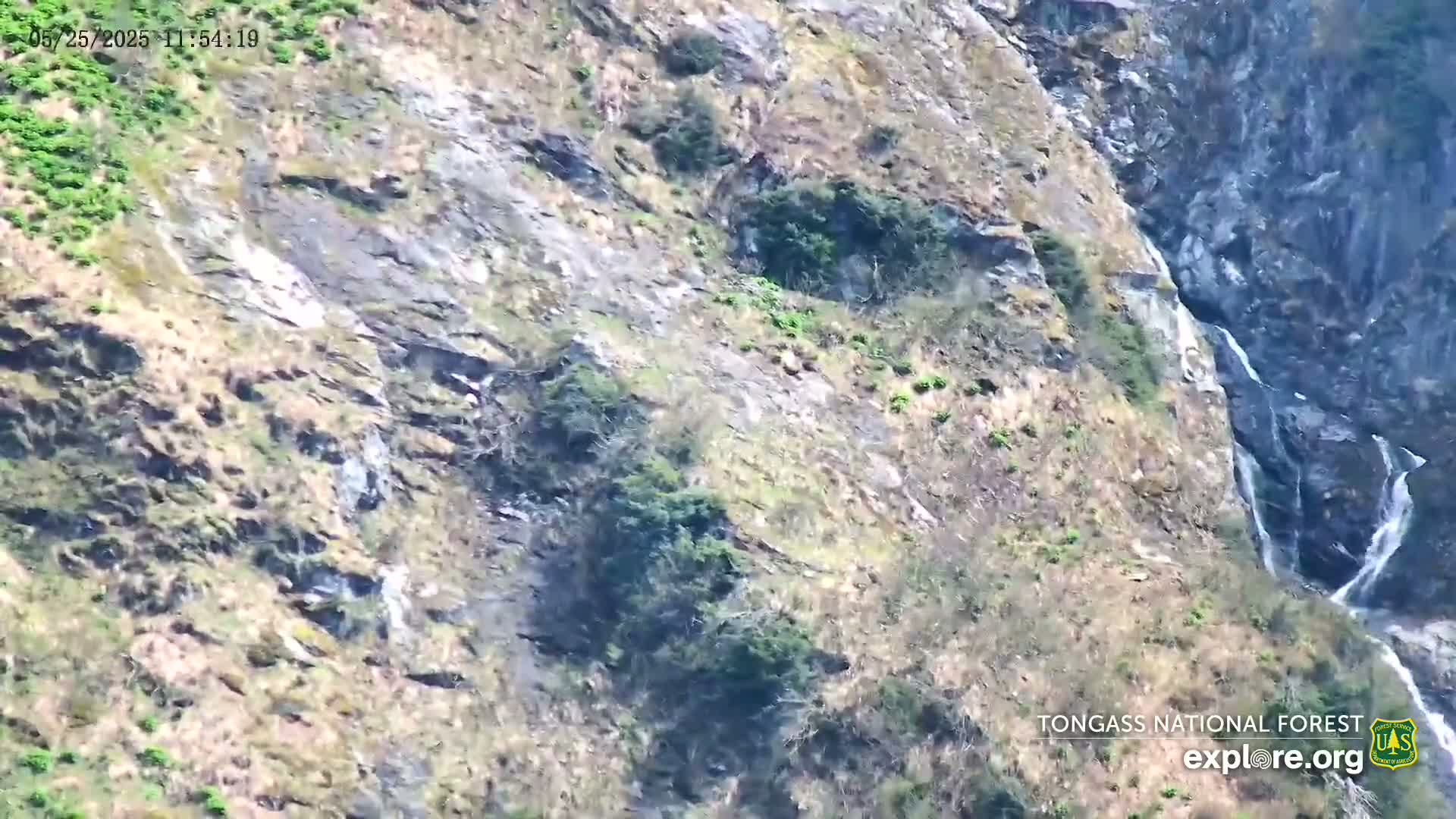 Mendenhall Glacier , Lake & Mountain Live Cam - Mendenhall Valley, Juneau, Alaska, USA