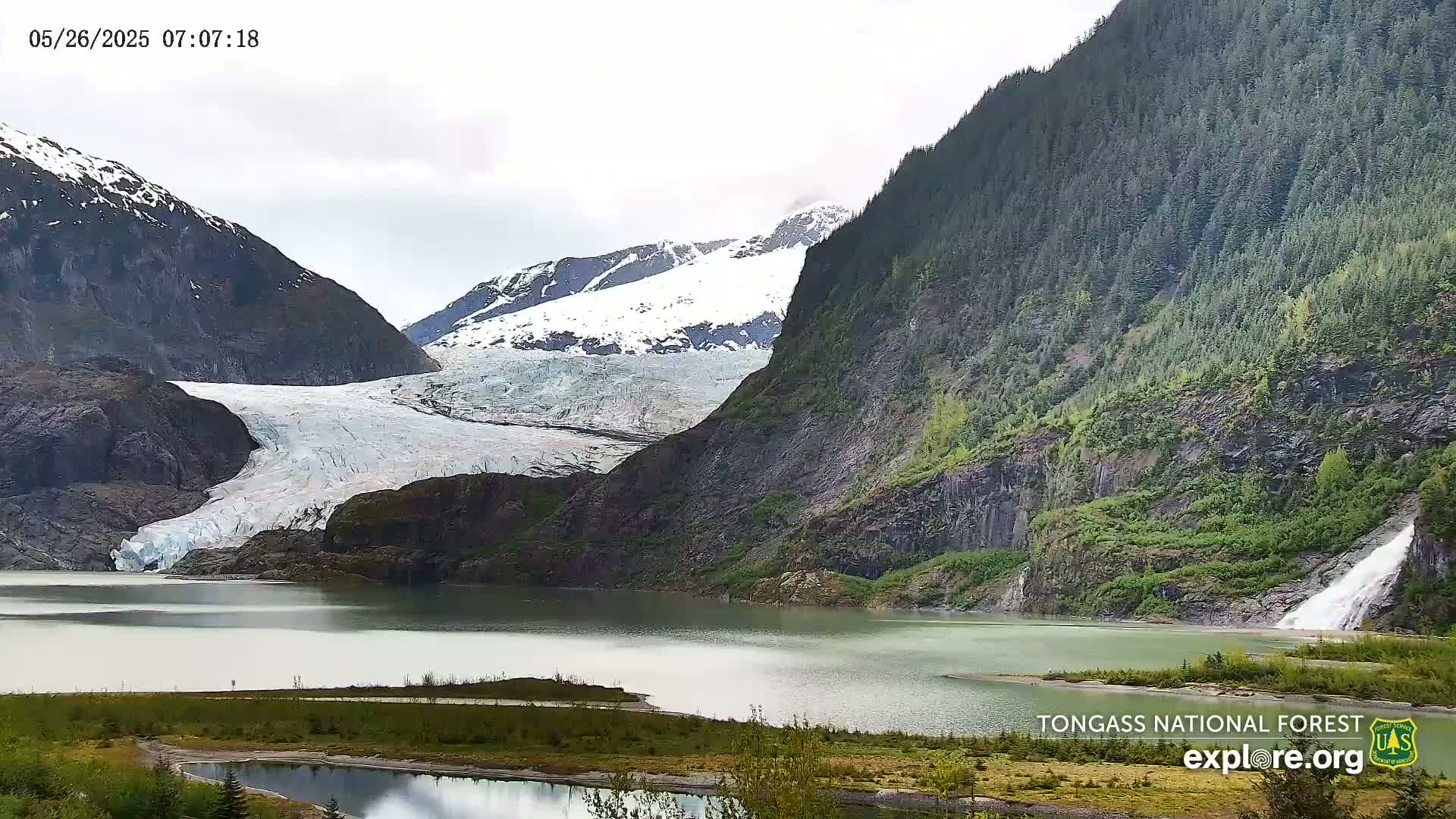 A glacier flows into a calm lake nestled between snow-capped mountains and lush green forests under an overcast sky.