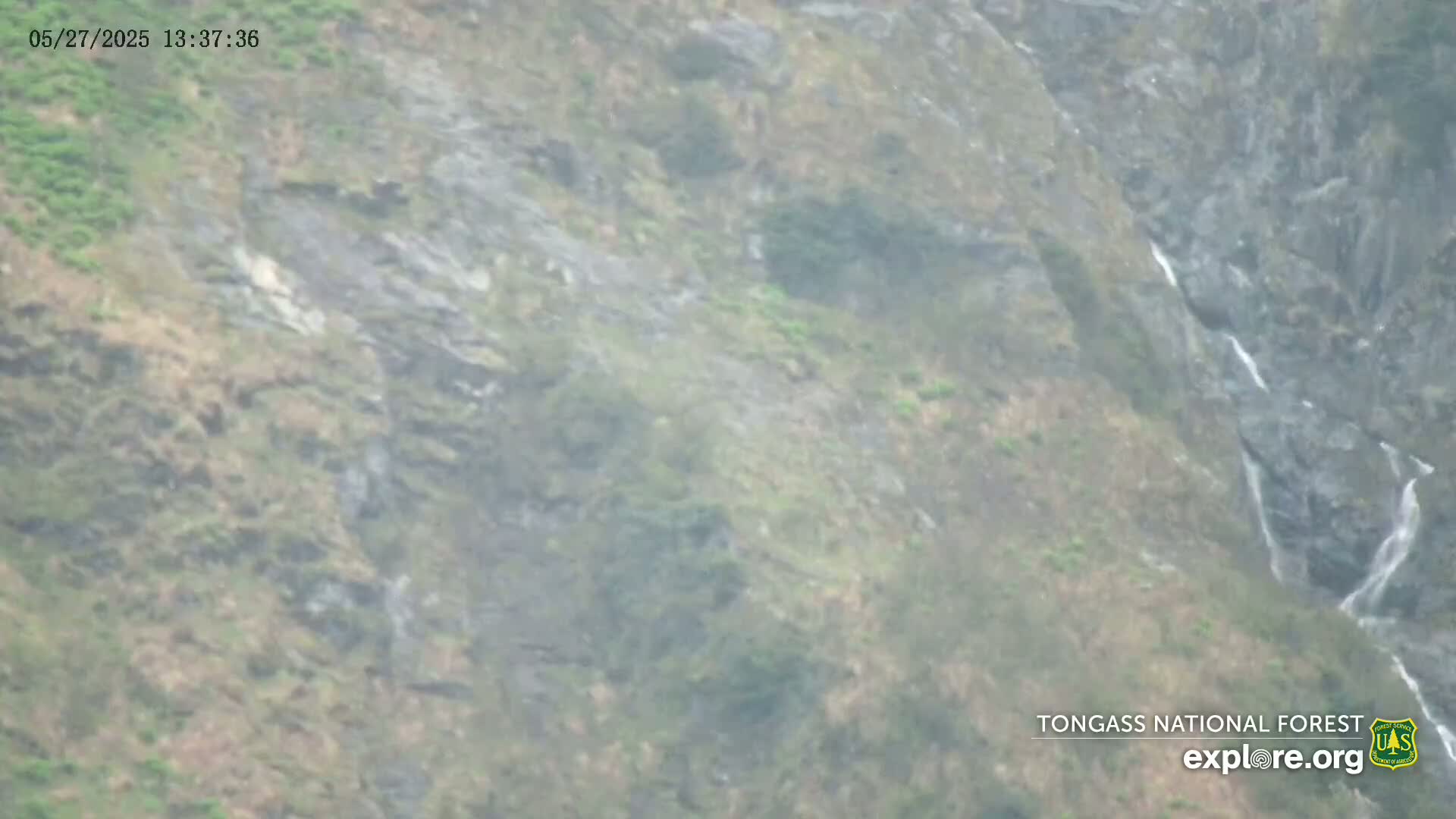 A misty, rocky hillside with a small waterfall is visible on a cloudy day.
