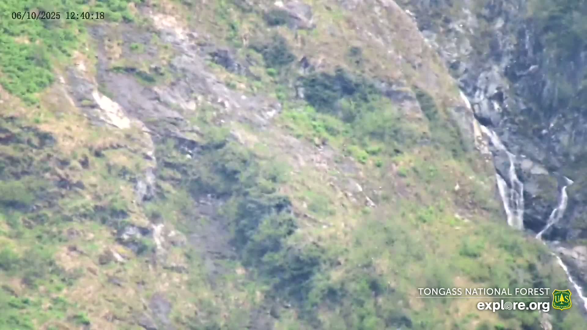 Mendenhall Glacier , Lake & Mountain Live Cam - Mendenhall Valley, Juneau, Alaska, USA