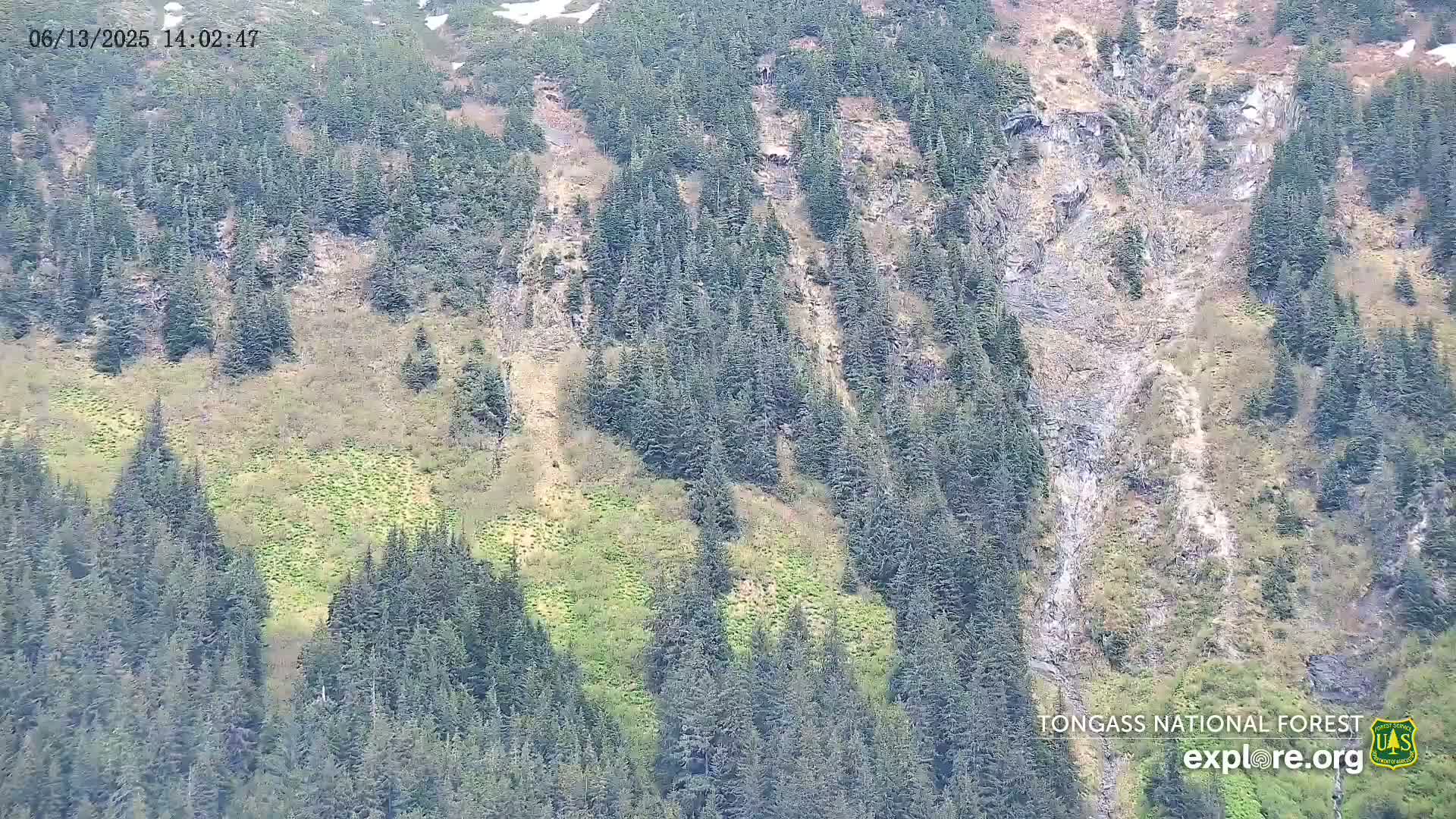 Mendenhall Glacier , Lake & Mountain Live Cam - Mendenhall Valley, Juneau, Alaska, USA