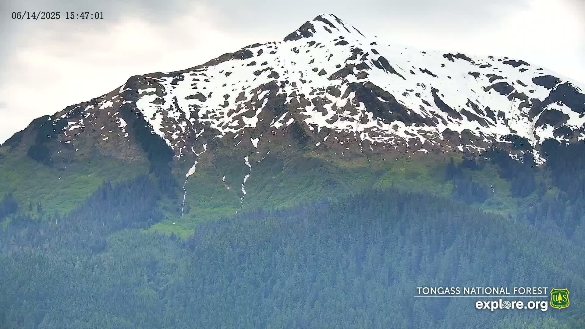 A large glacier flows down a mountain valley between dark, rocky hills on an overcast day.