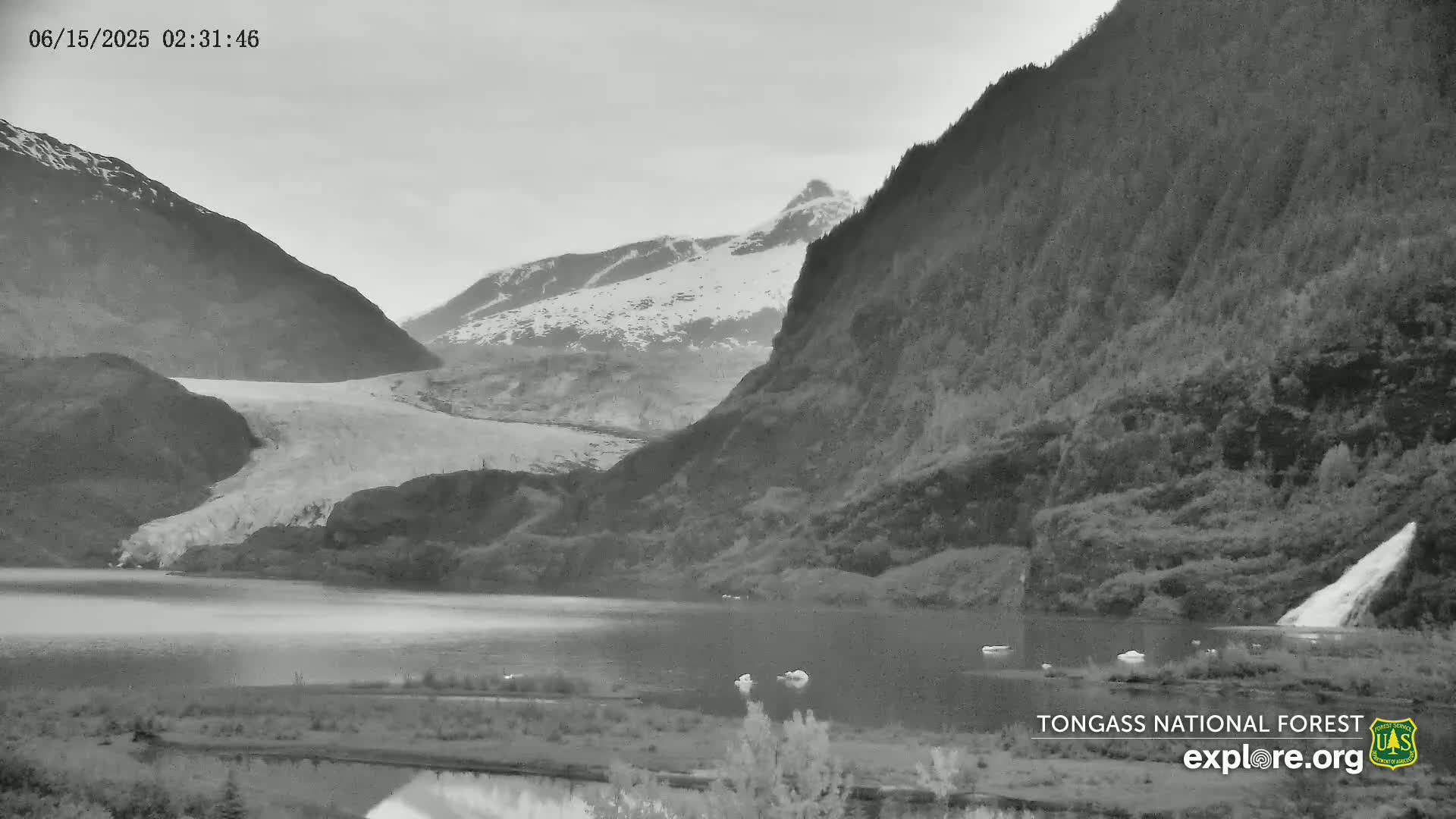 A glacier flows into a calm lake nestled between snow-capped mountains under an overcast sky.