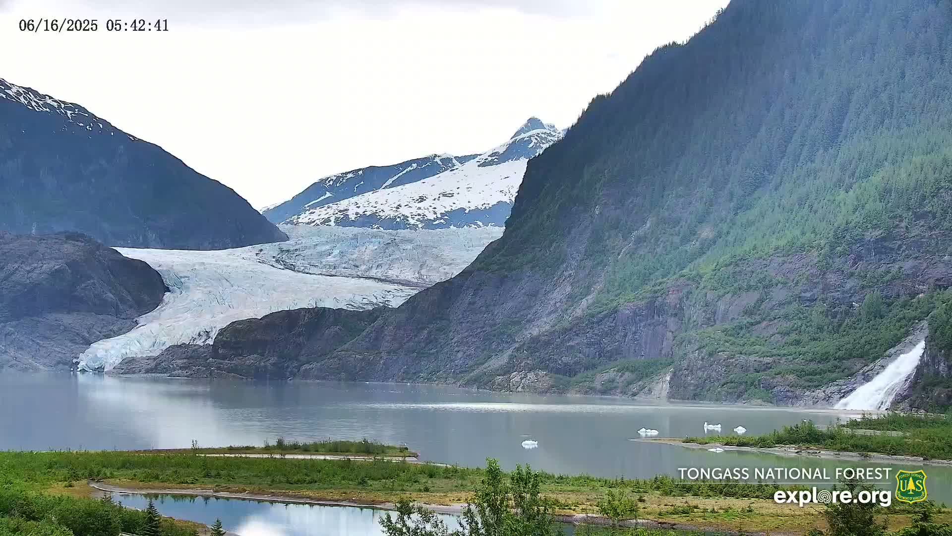 A large glacier flows into a calm lake nestled between steep, verdant mountains under an overcast sky.