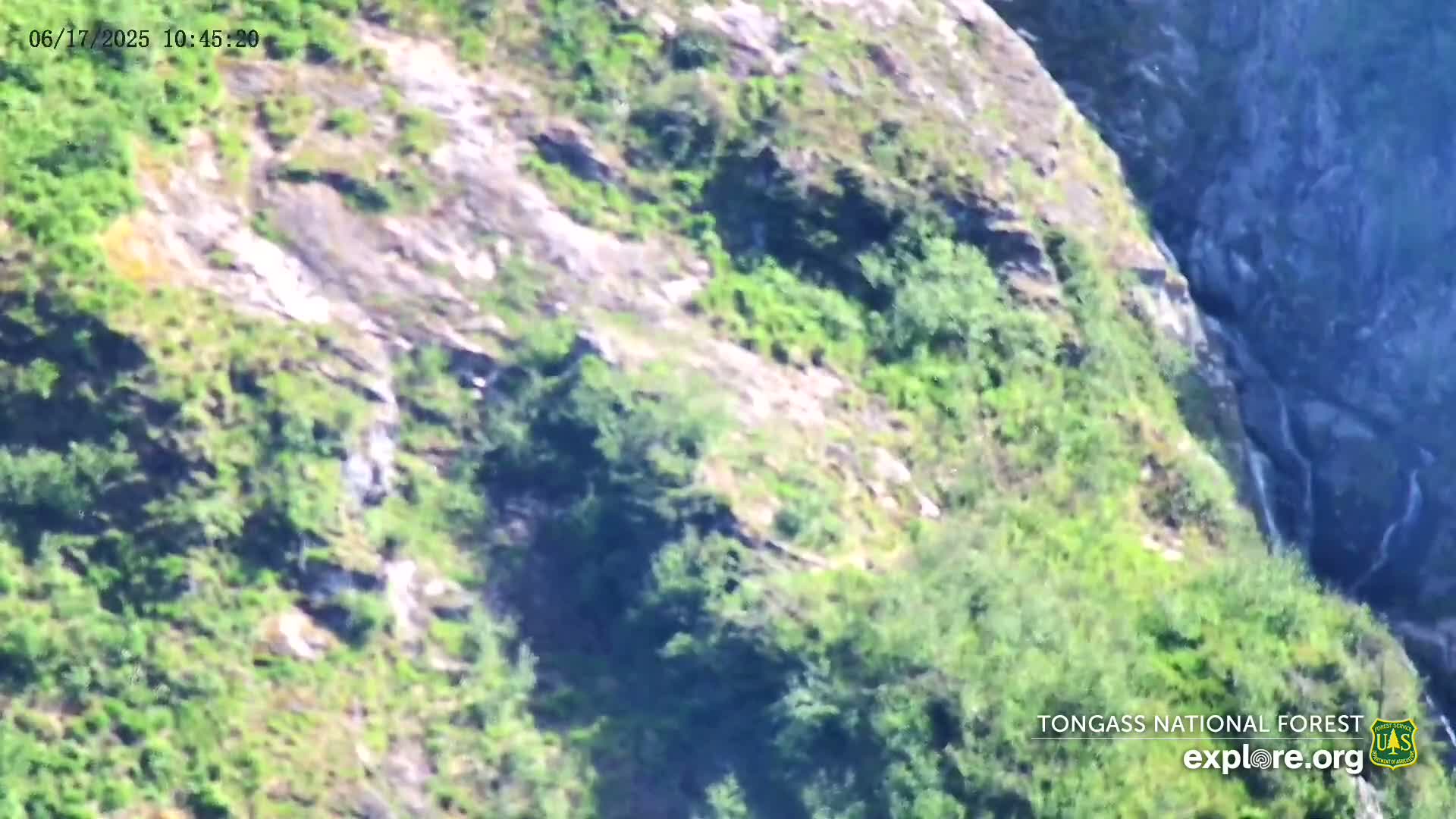 A rocky hillside, partially covered in lush green vegetation, with a small waterfall cascading down a portion of the rock face on a sunny day.