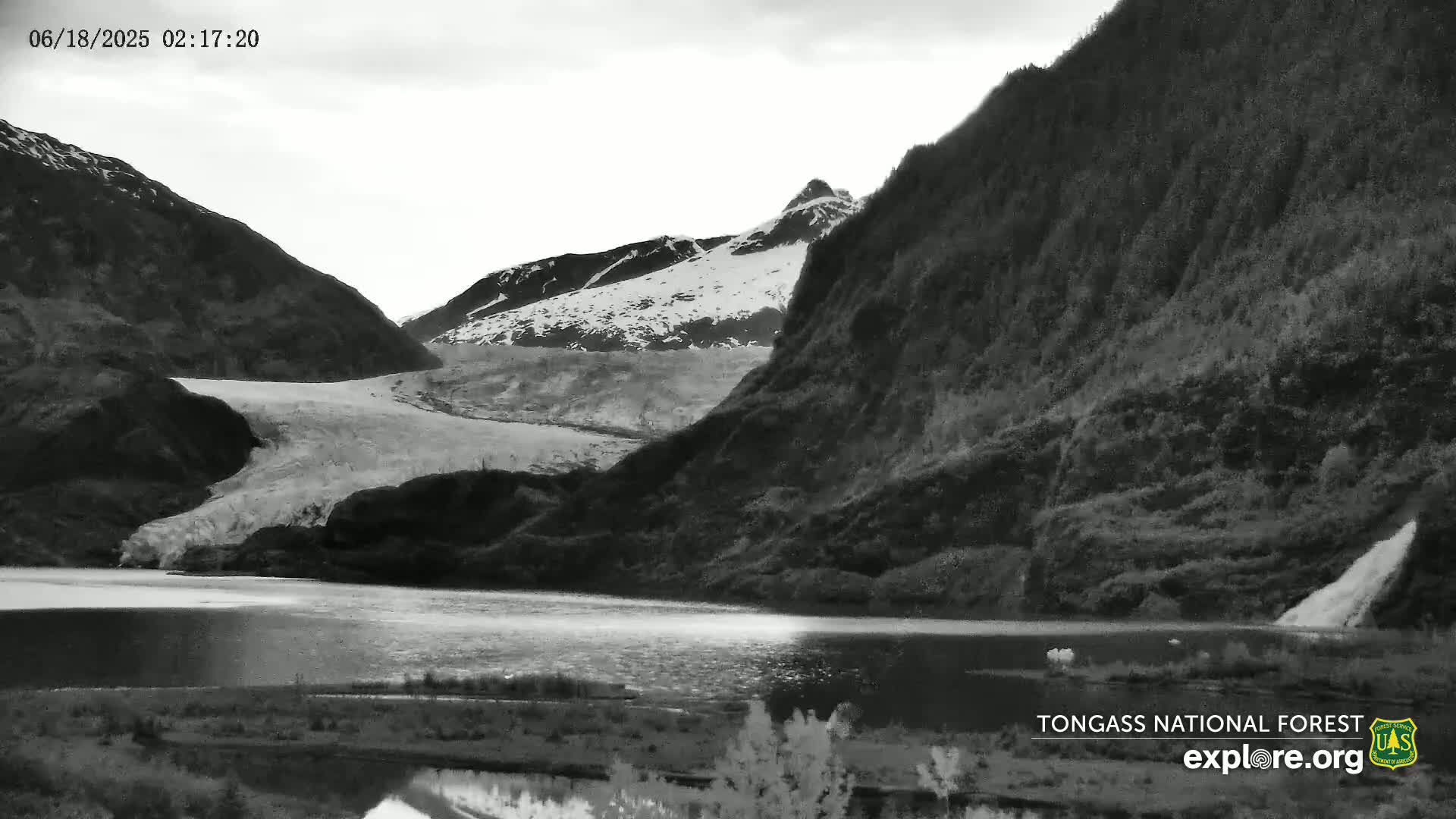 A glacier flows down a mountain valley into a still lake under an overcast sky.
