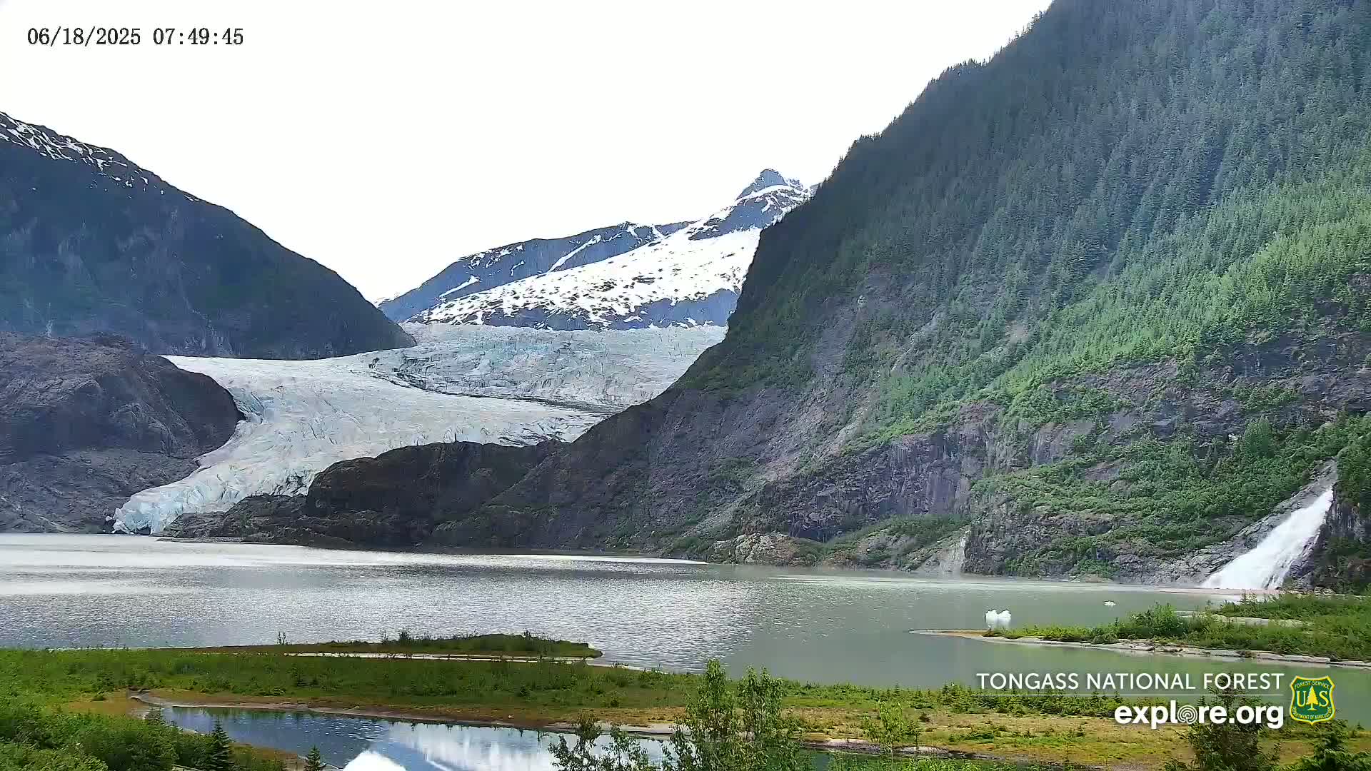A large glacier flows into a calm lake nestled between steep, green mountains under a mostly cloudy sky.