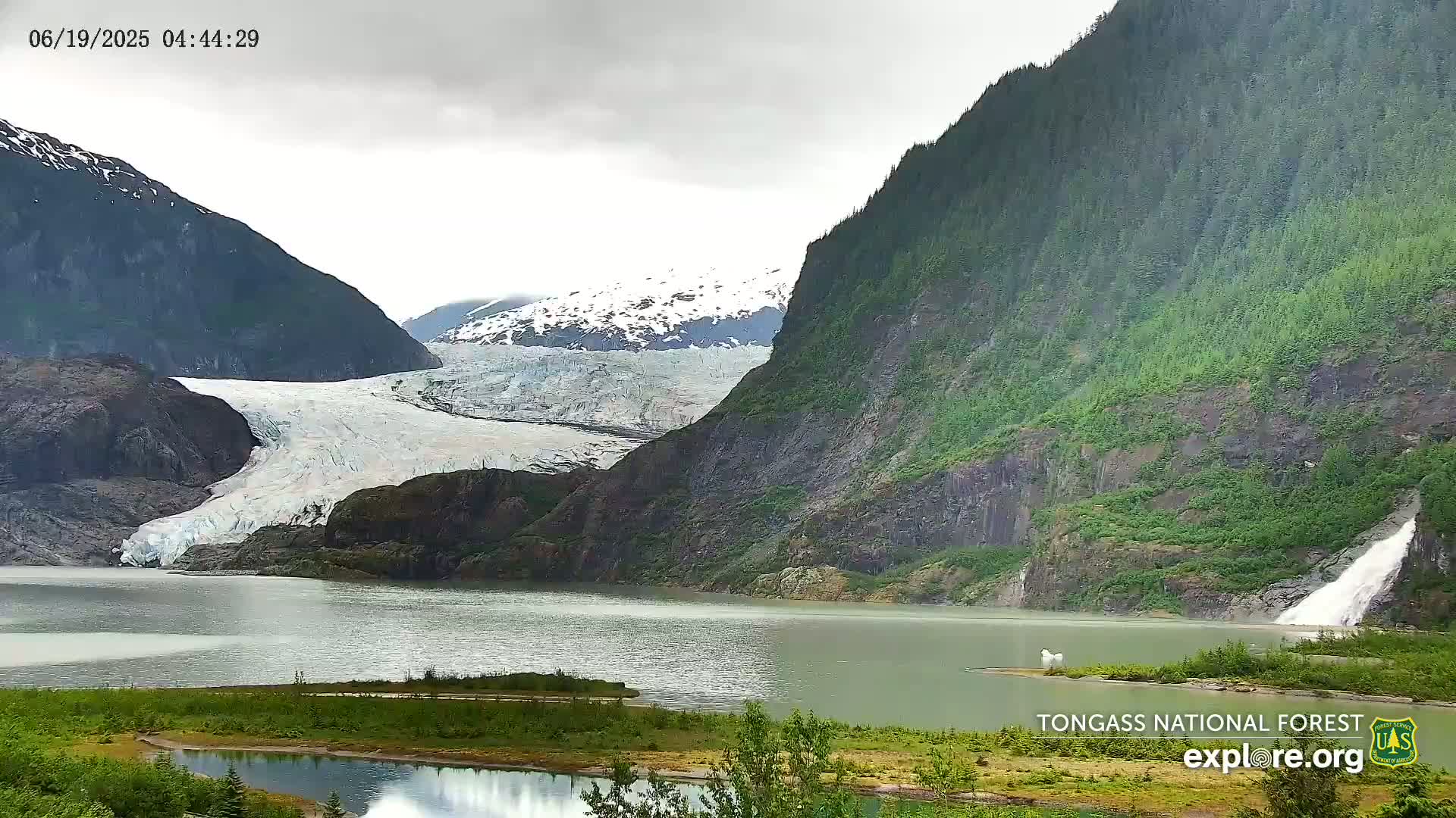 A glacier flows into a lake surrounded by steep, verdant mountains under an overcast sky.