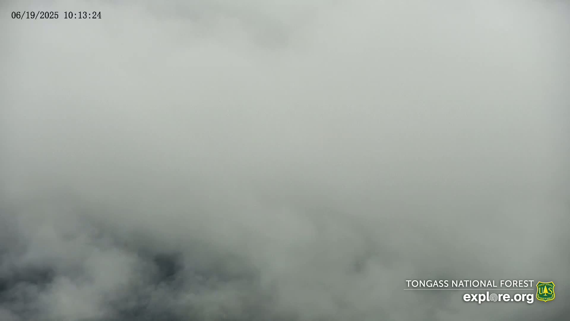 A thick fog obscures the view of a landscape.