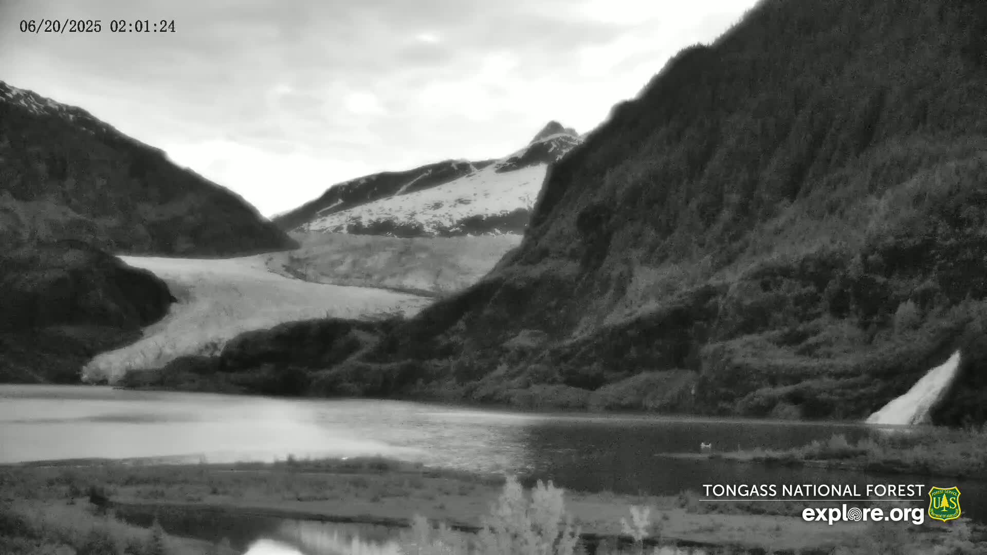 A glacier flows down a mountainside into a calm lake under an overcast sky.