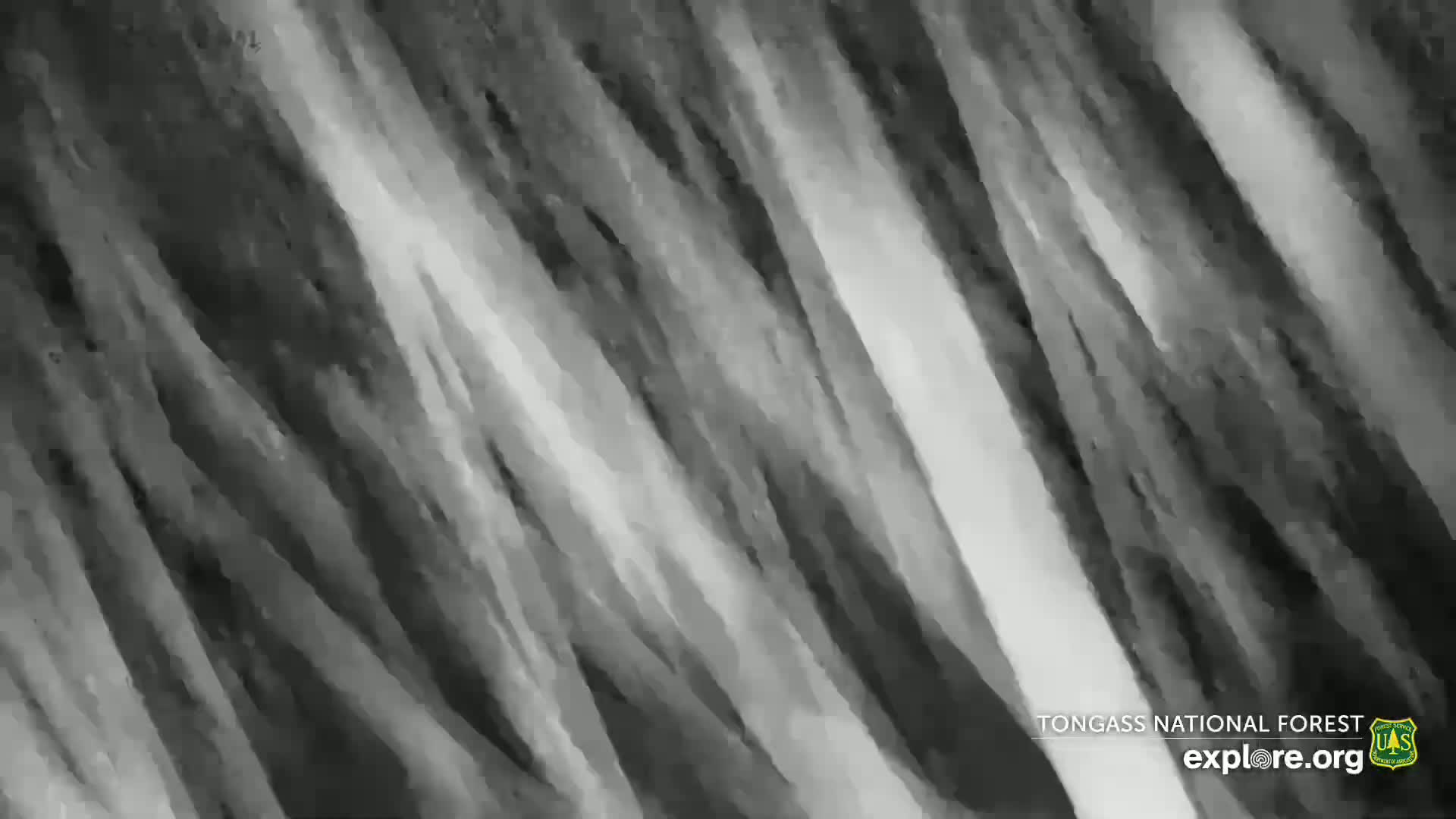 Mendenhall Glacier , Lake & Mountain Live Cam - Mendenhall Valley, Juneau, Alaska, USA