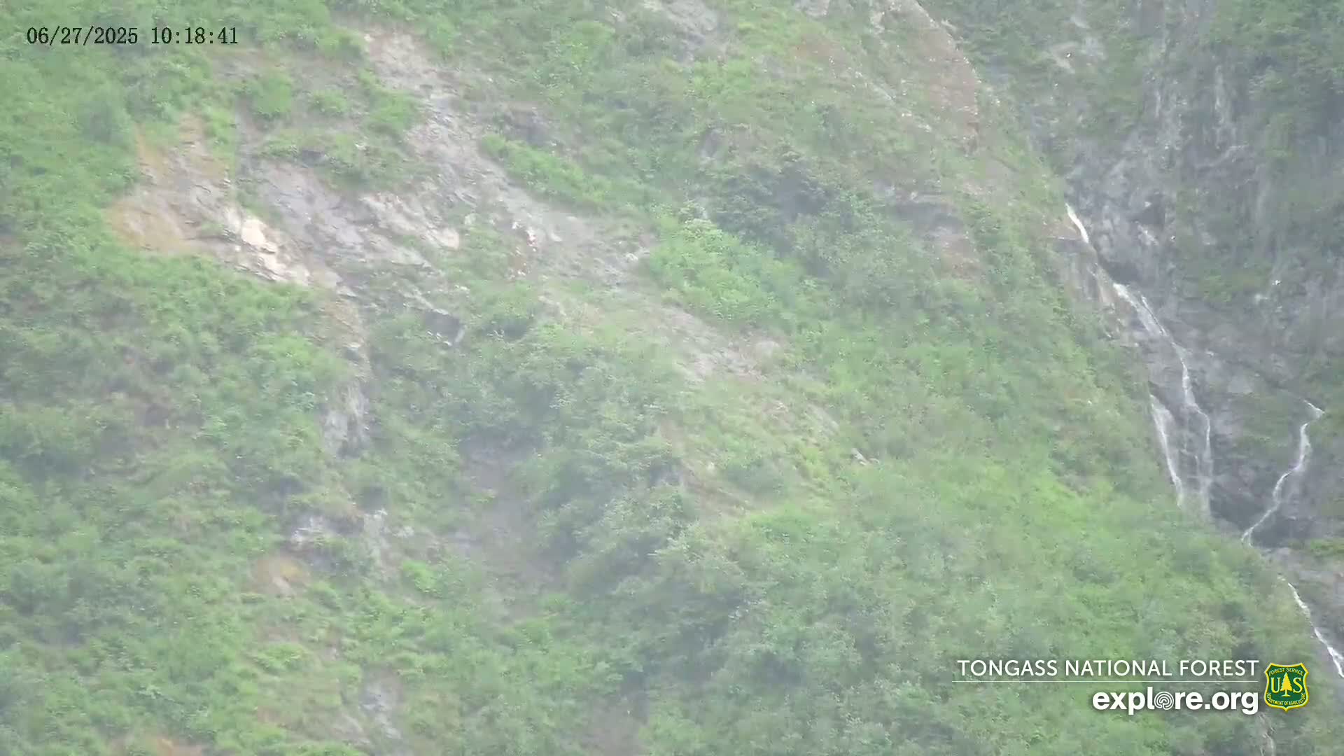 Mendenhall Glacier , Lake & Mountain Live Cam - Mendenhall Valley, Juneau, Alaska, USA