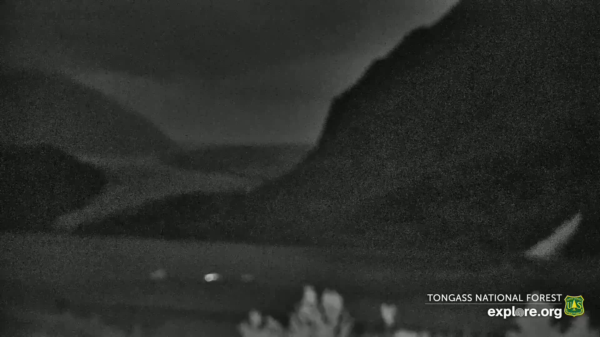 Mendenhall Glacier , Lake & Mountain Live Cam - Mendenhall Valley, Juneau, Alaska, USA
