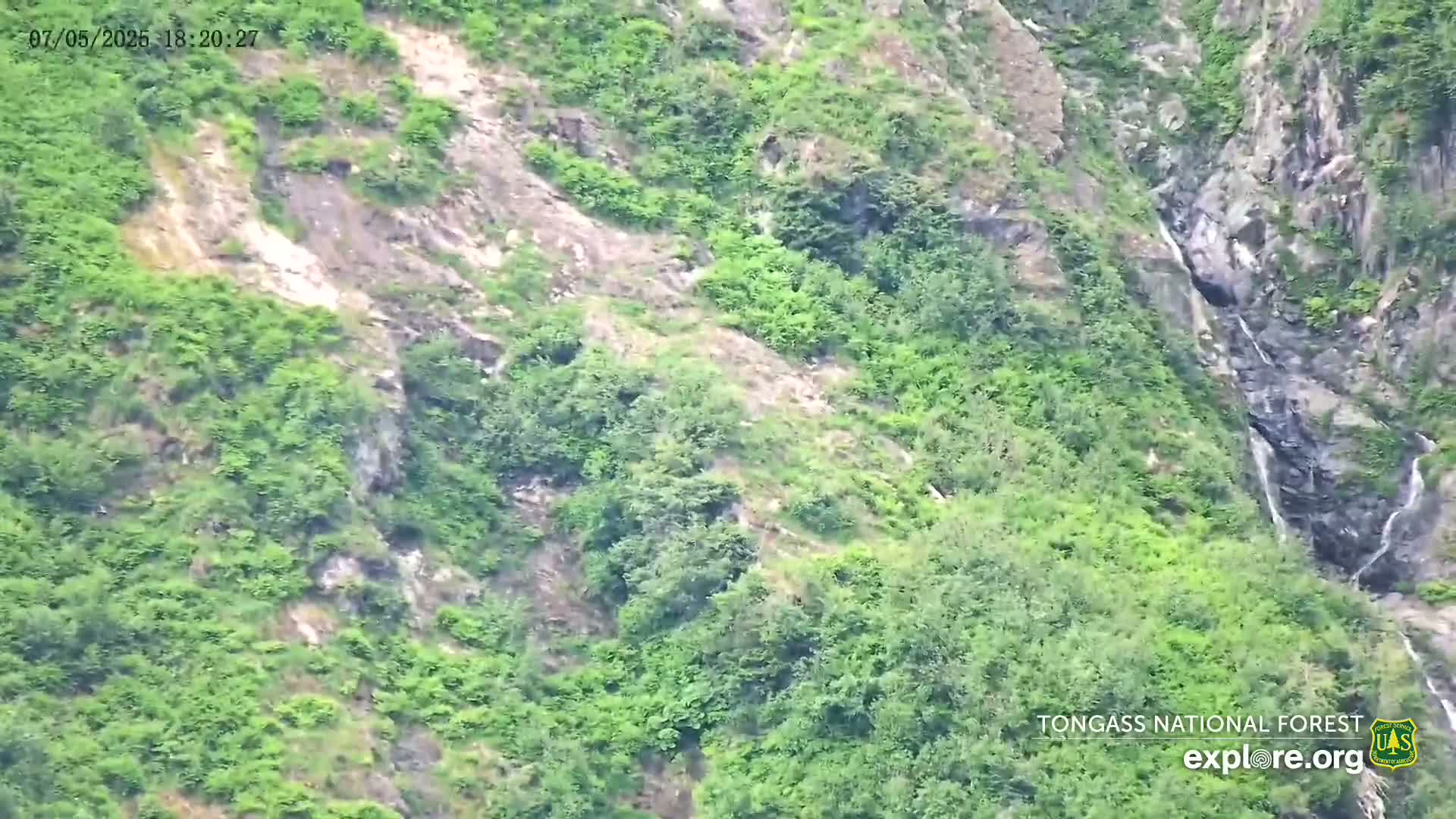 Mendenhall Glacier , Lake & Mountain Live Cam - Mendenhall Valley, Juneau, Alaska, USA