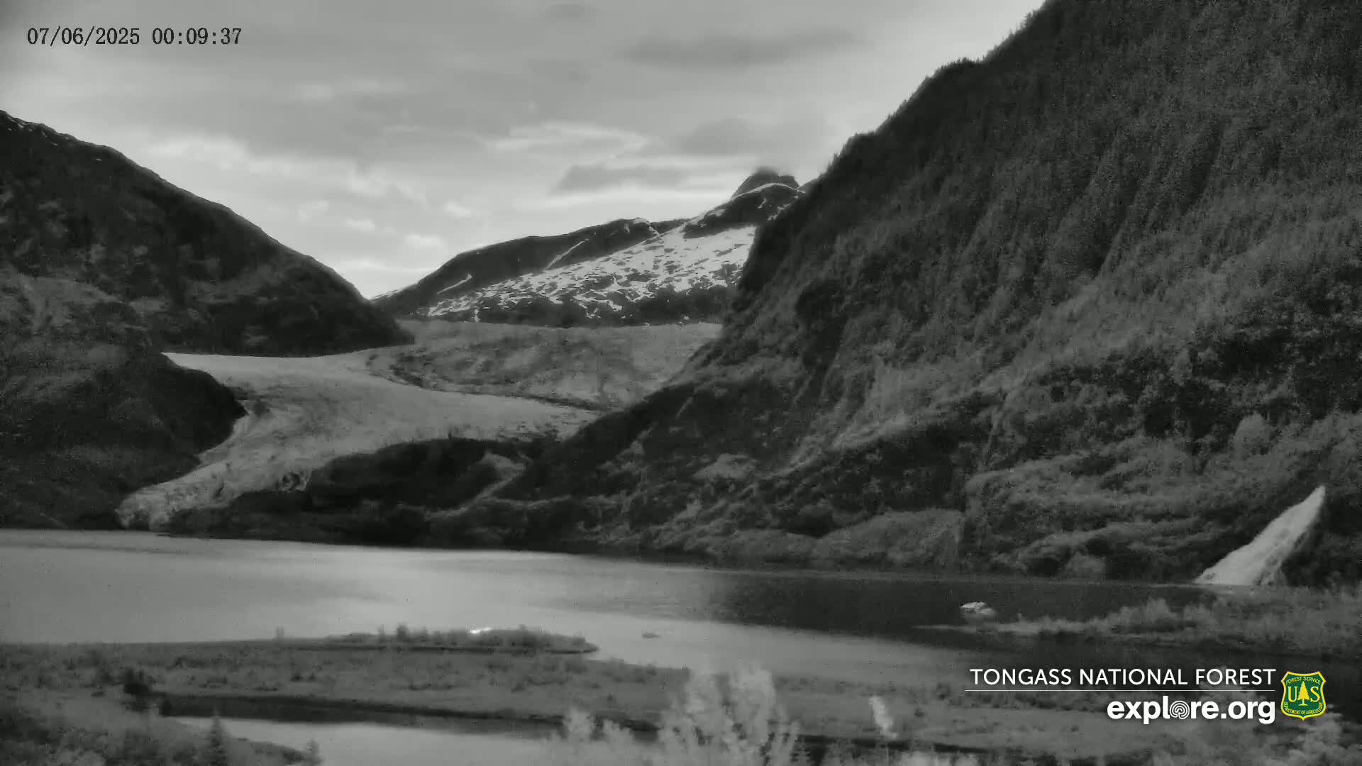 A glacier flows down a mountain into a calm lake under an overcast sky.