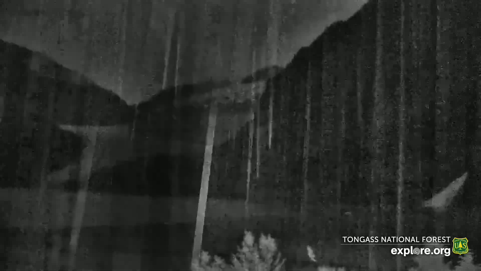 Mendenhall Glacier , Lake & Mountain Live Cam - Mendenhall Valley, Juneau, Alaska, USA