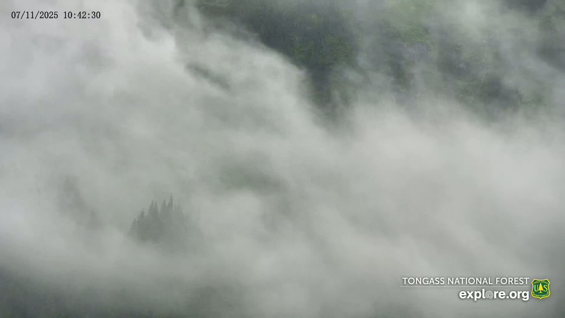 Mendenhall Glacier , Lake & Mountain Live Cam - Mendenhall Valley, Juneau, Alaska, USA