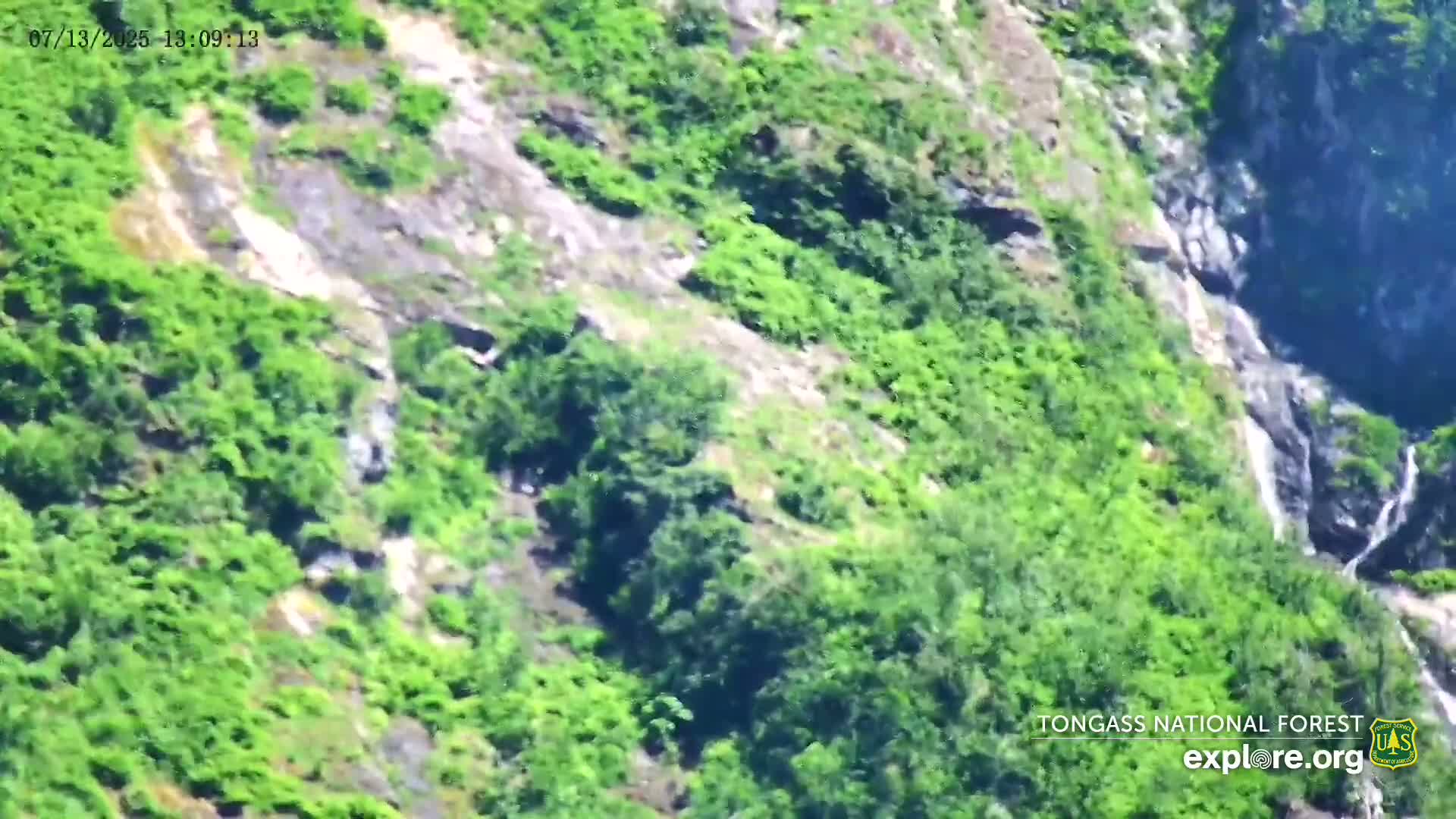 Mendenhall Glacier , Lake & Mountain Live Cam - Mendenhall Valley, Juneau, Alaska, USA