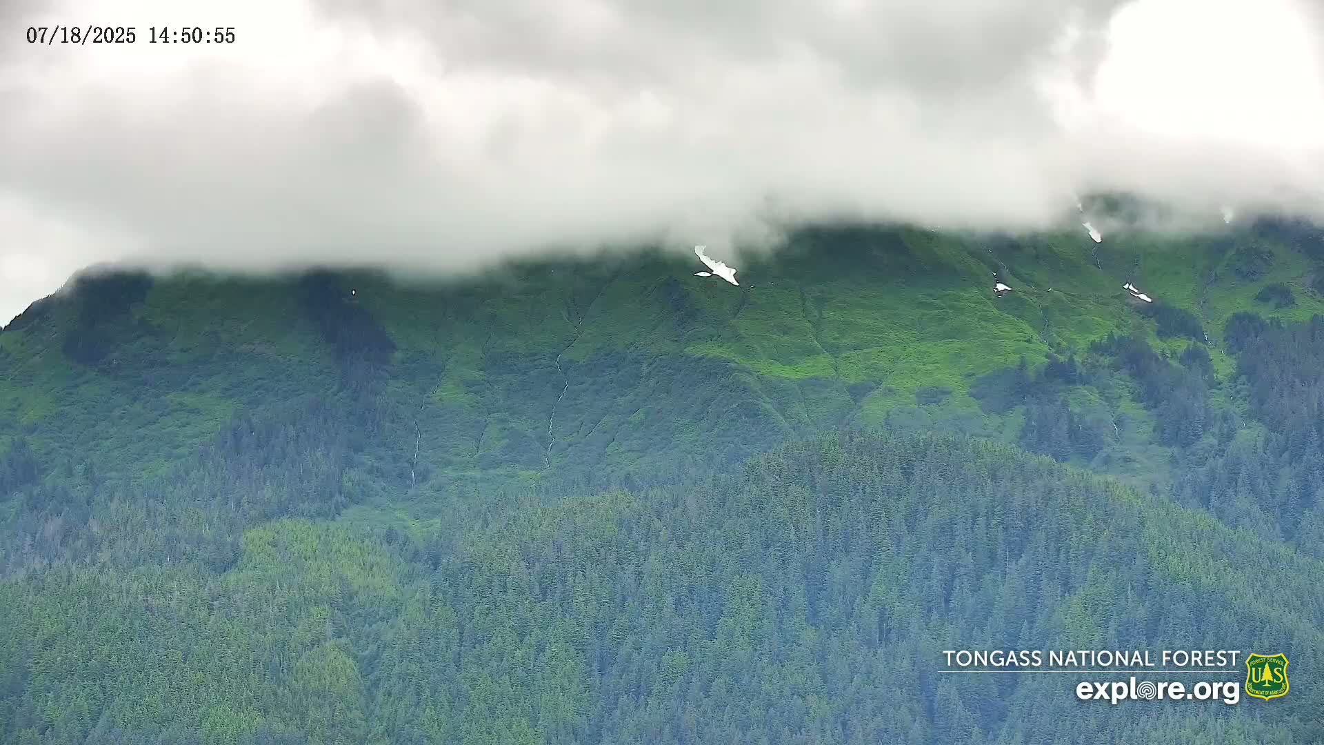 Mendenhall Glacier , Lake & Mountain Live Cam - Mendenhall Valley, Juneau, Alaska, USA
