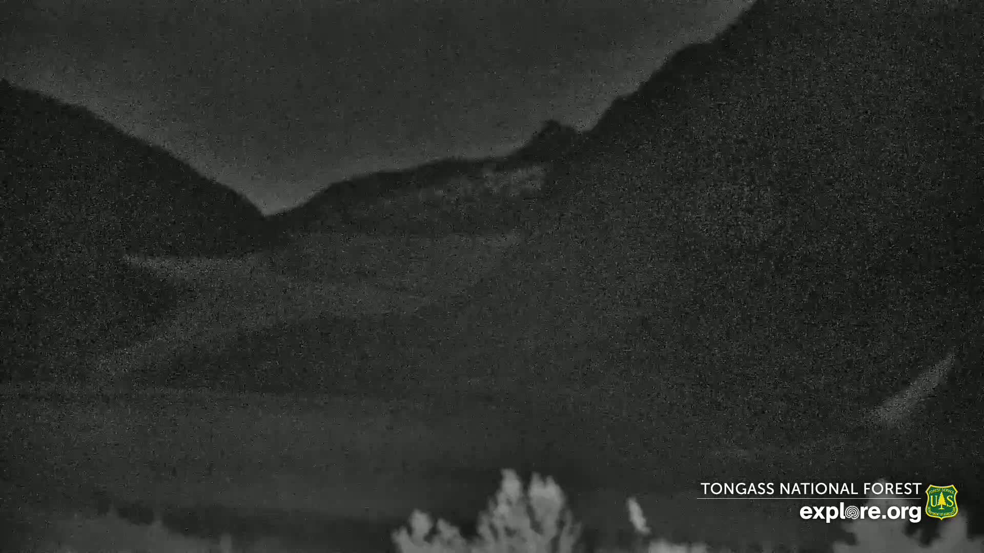 Mendenhall Glacier , Lake & Mountain Live Cam - Mendenhall Valley, Juneau, Alaska, USA