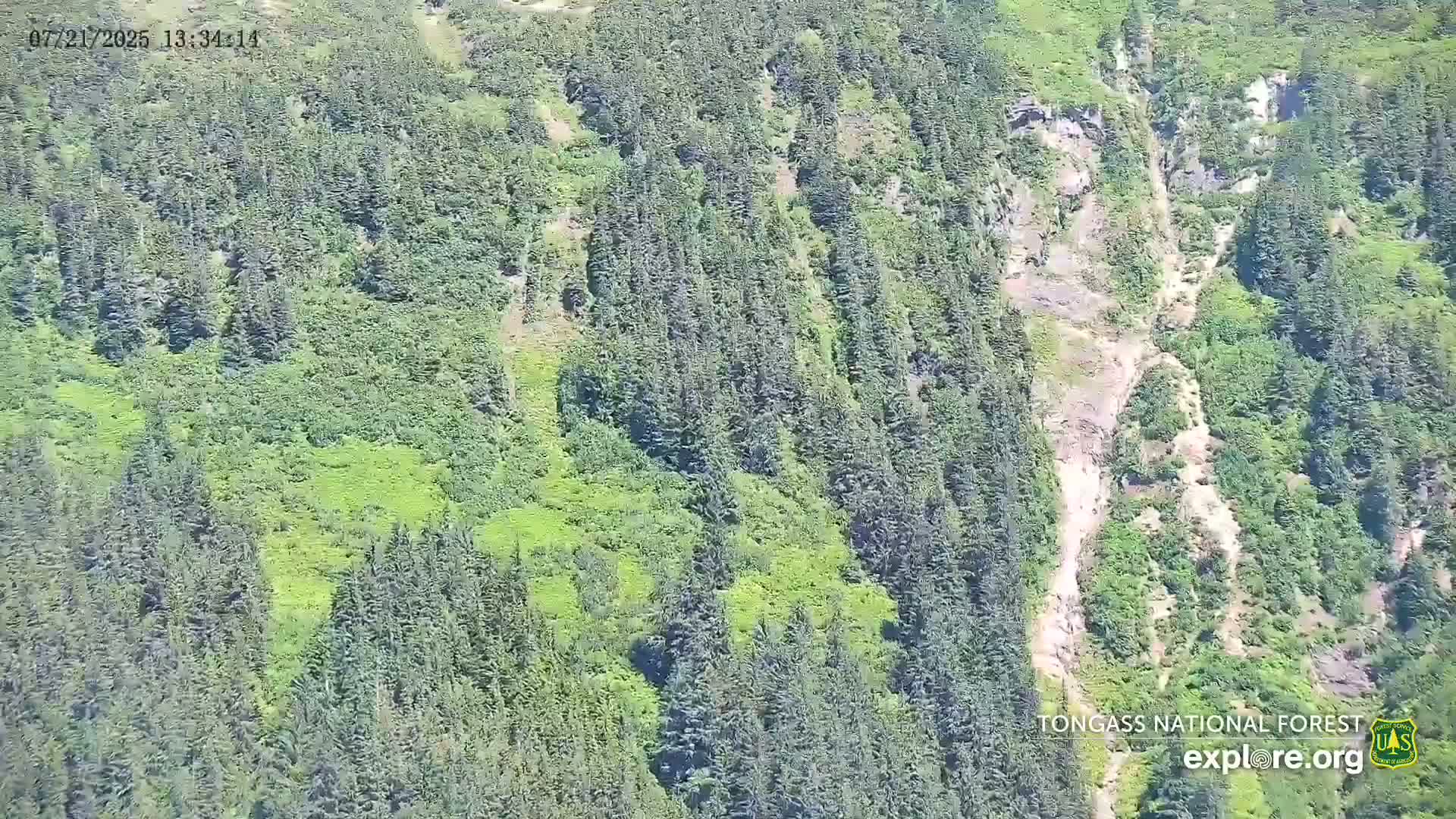 Mendenhall Glacier , Lake & Mountain Live Cam - Mendenhall Valley, Juneau, Alaska, USA