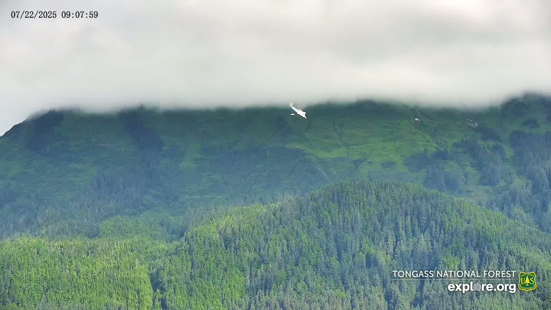 Mendenhall Glacier , Lake & Mountain Live Cam - Mendenhall Valley, Juneau, Alaska, USA