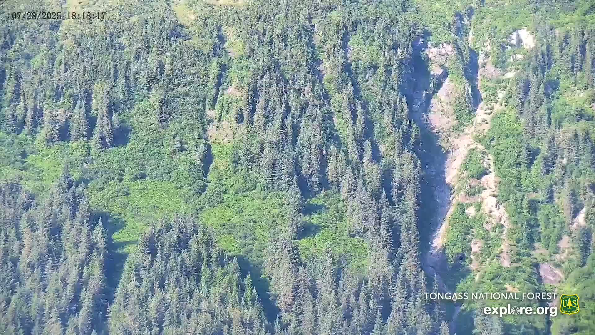 Mendenhall Glacier , Lake & Mountain Live Cam - Mendenhall Valley, Juneau, Alaska, USA