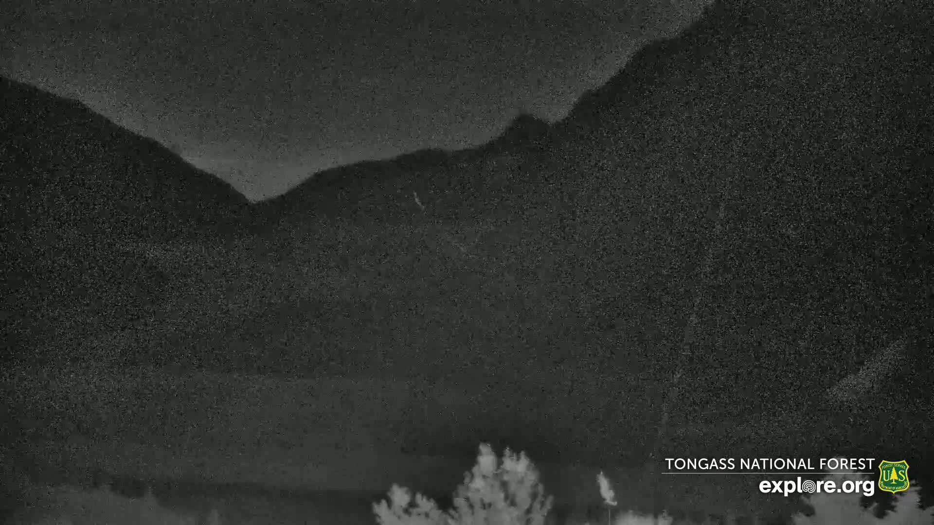 Mendenhall Glacier , Lake & Mountain Live Cam - Mendenhall Valley, Juneau, Alaska, USA