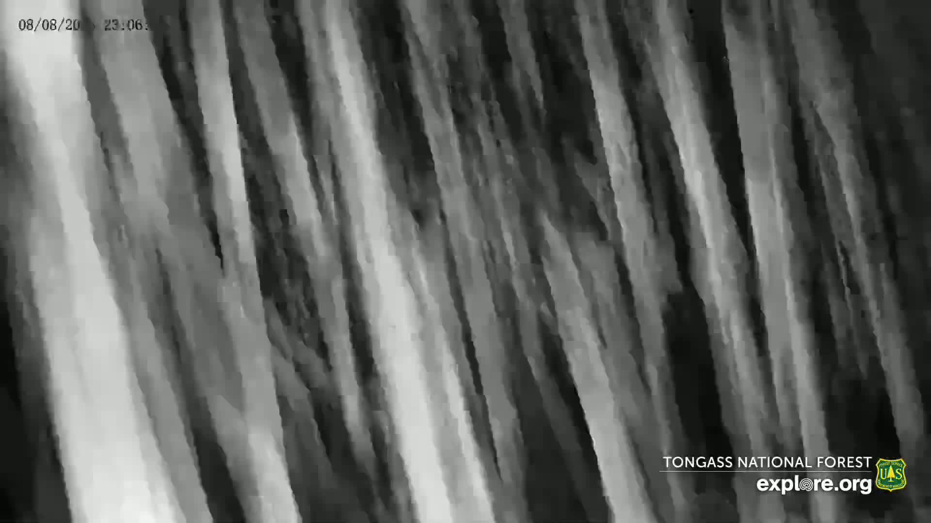 A grayscale image shows a series of vertically oriented, blurry streaks of varying shades of gray.