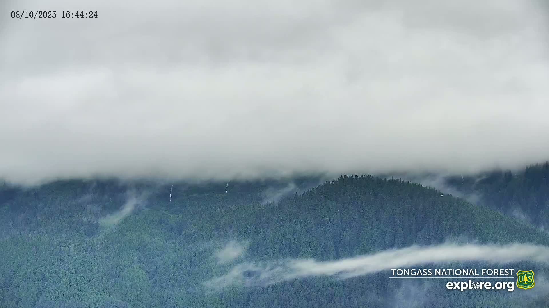 Mendenhall Glacier , Lake & Mountain Live Cam - Mendenhall Valley, Juneau, Alaska, USA