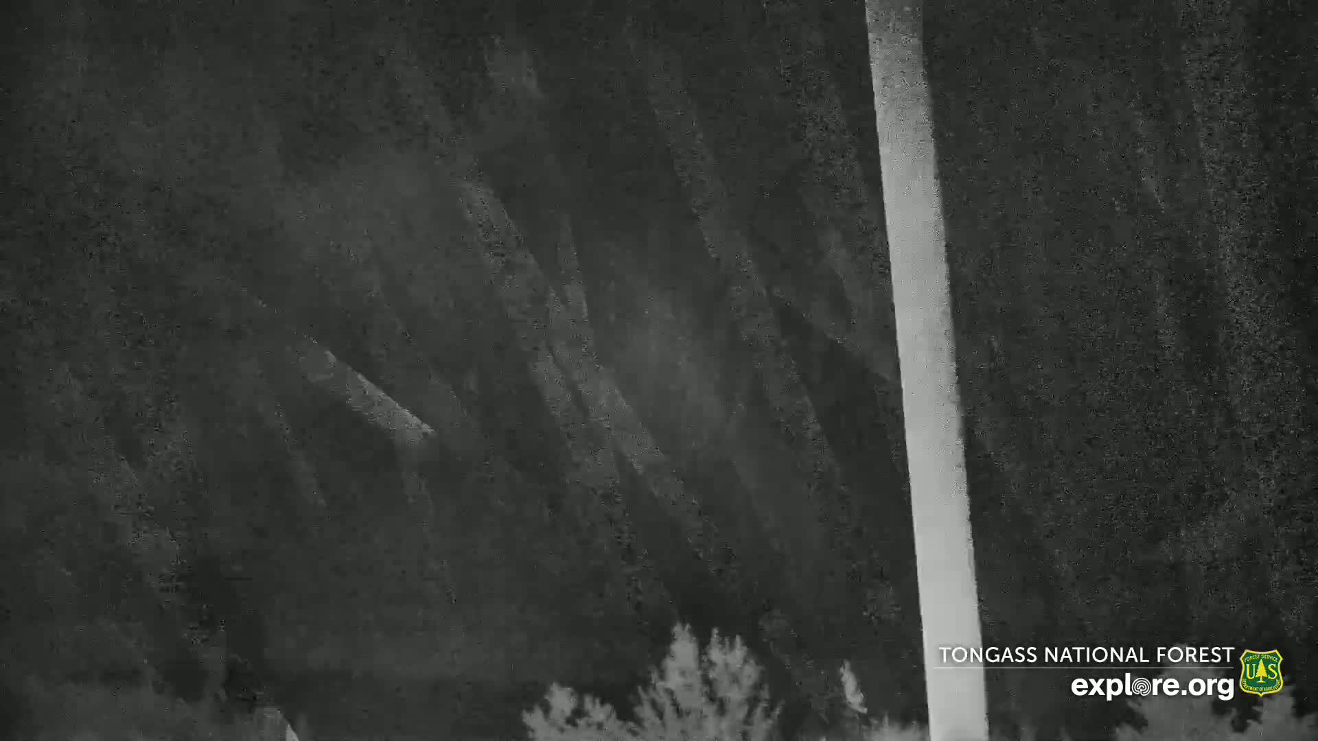 Mendenhall Glacier , Lake & Mountain Live Cam - Mendenhall Valley, Juneau, Alaska, USA