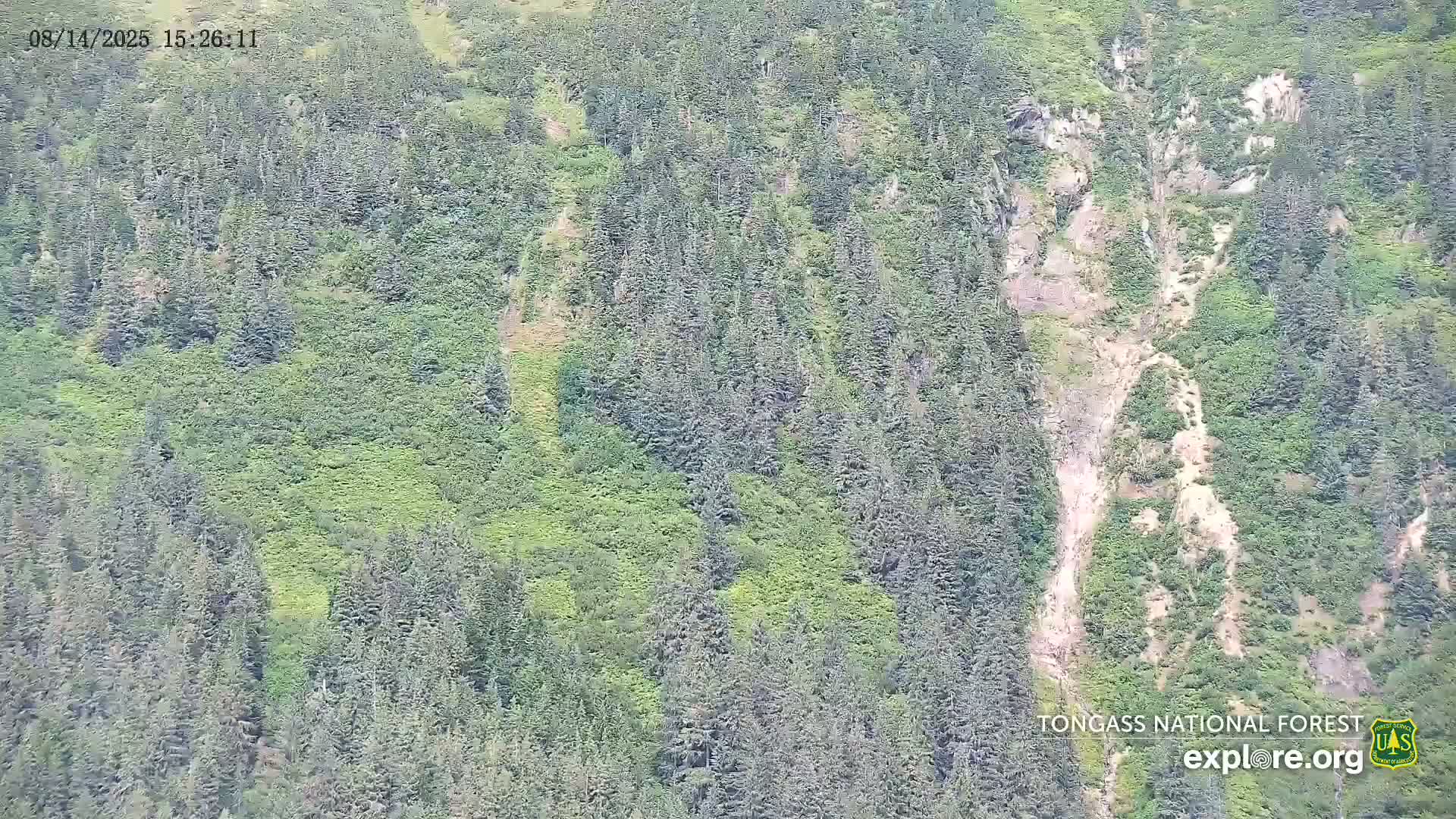Mendenhall Glacier , Lake & Mountain Live Cam - Mendenhall Valley, Juneau, Alaska, USA