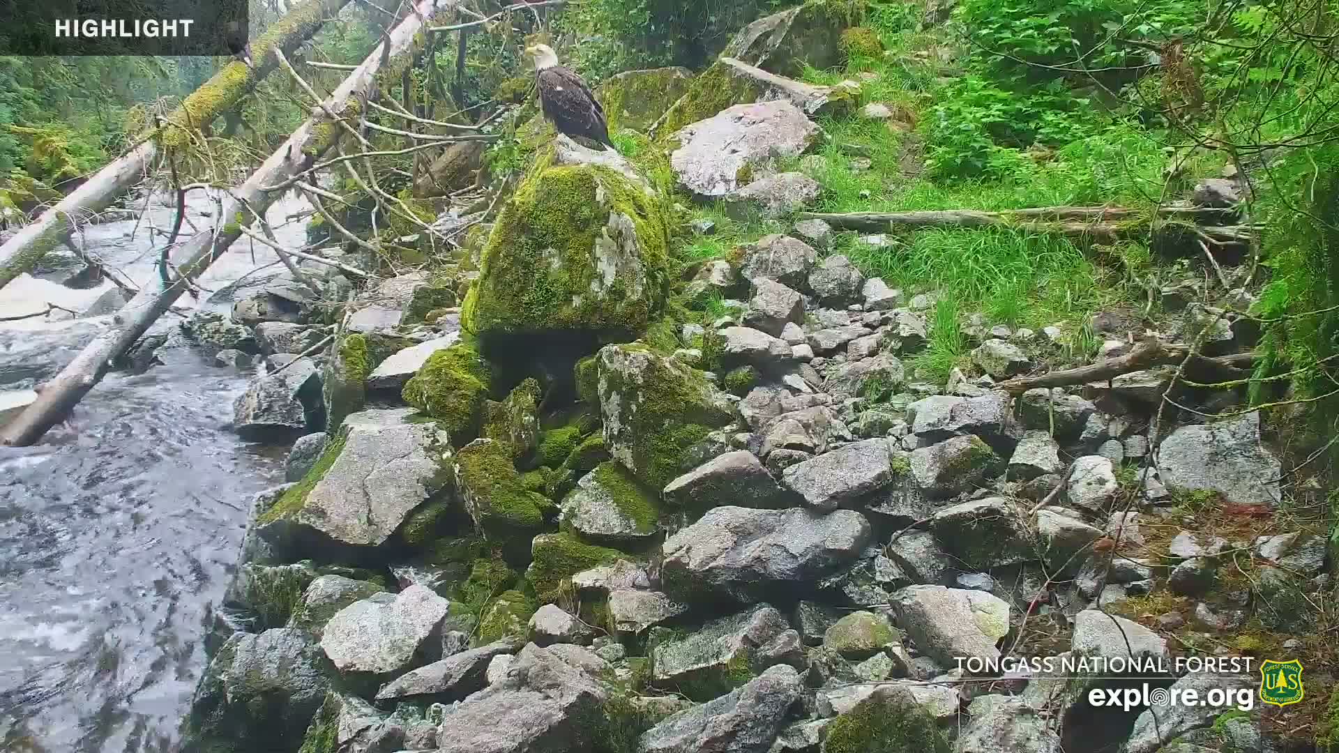 Mendenhall Glacier , Lake & Mountain Live Cam - Mendenhall Valley, Juneau, Alaska, USA