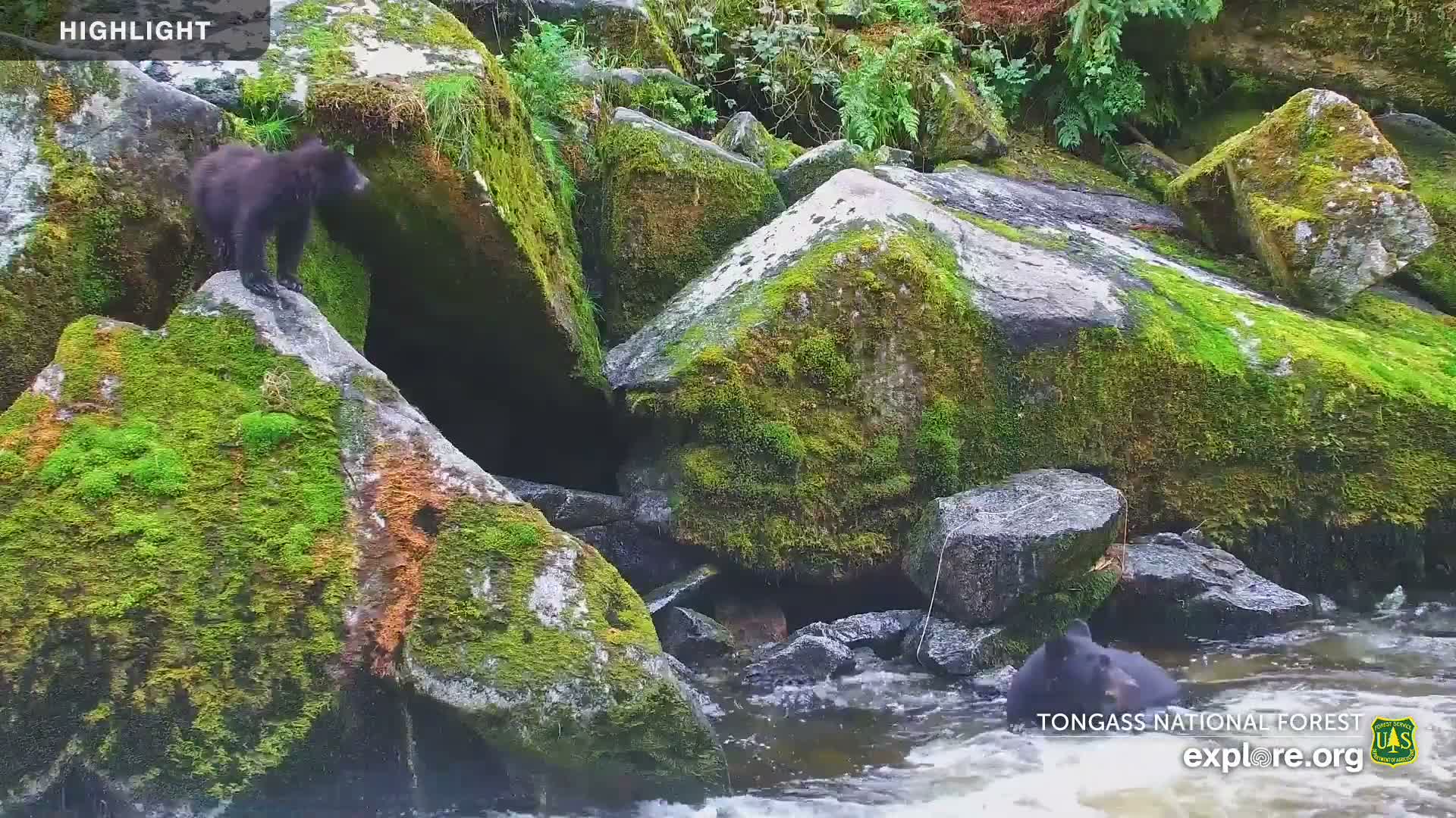 Mendenhall Glacier , Lake & Mountain Live Cam - Mendenhall Valley, Juneau, Alaska, USA