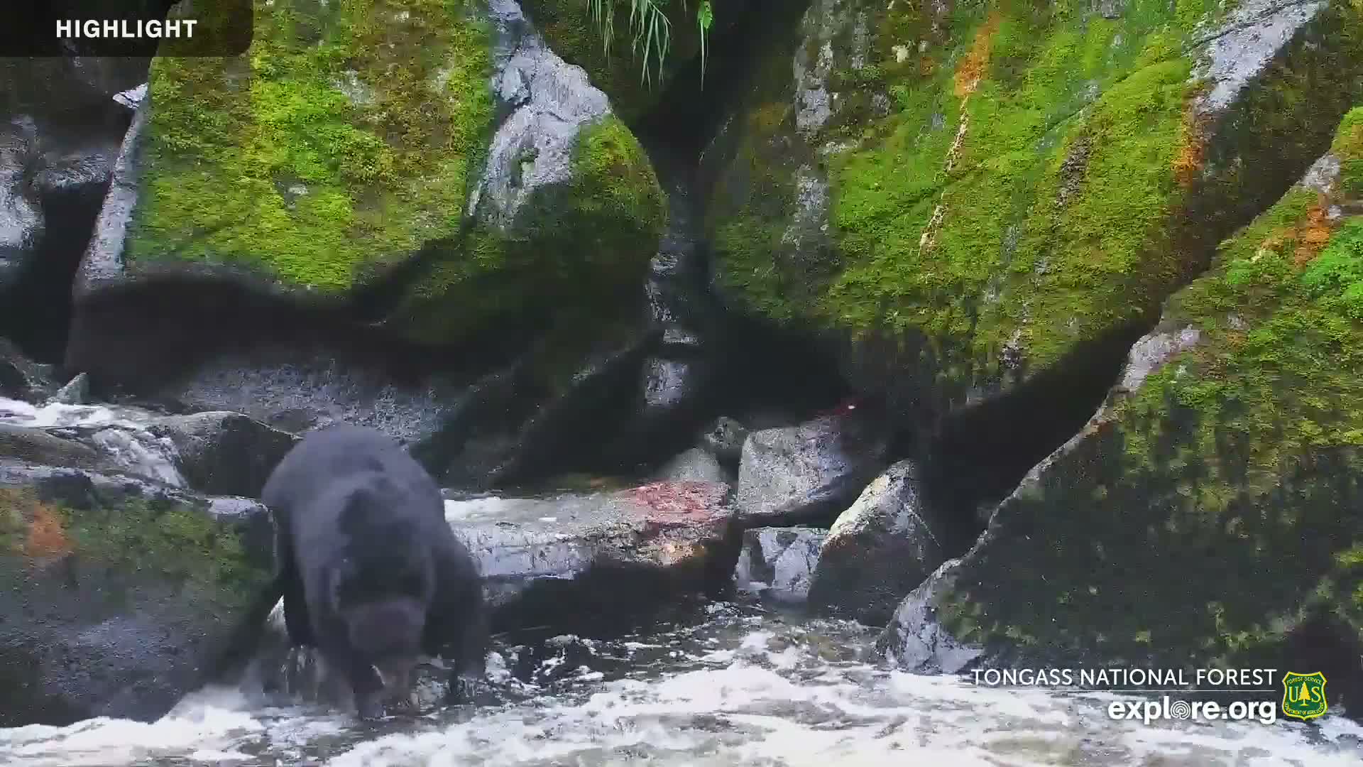 Mendenhall Glacier , Lake & Mountain Live Cam - Mendenhall Valley, Juneau, Alaska, USA