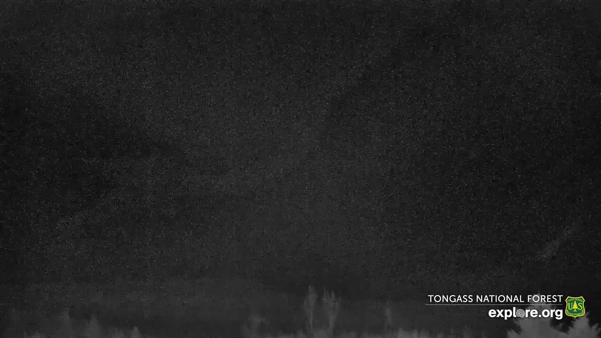 Mendenhall Glacier , Lake & Mountain Live Cam - Mendenhall Valley, Juneau, Alaska, USA