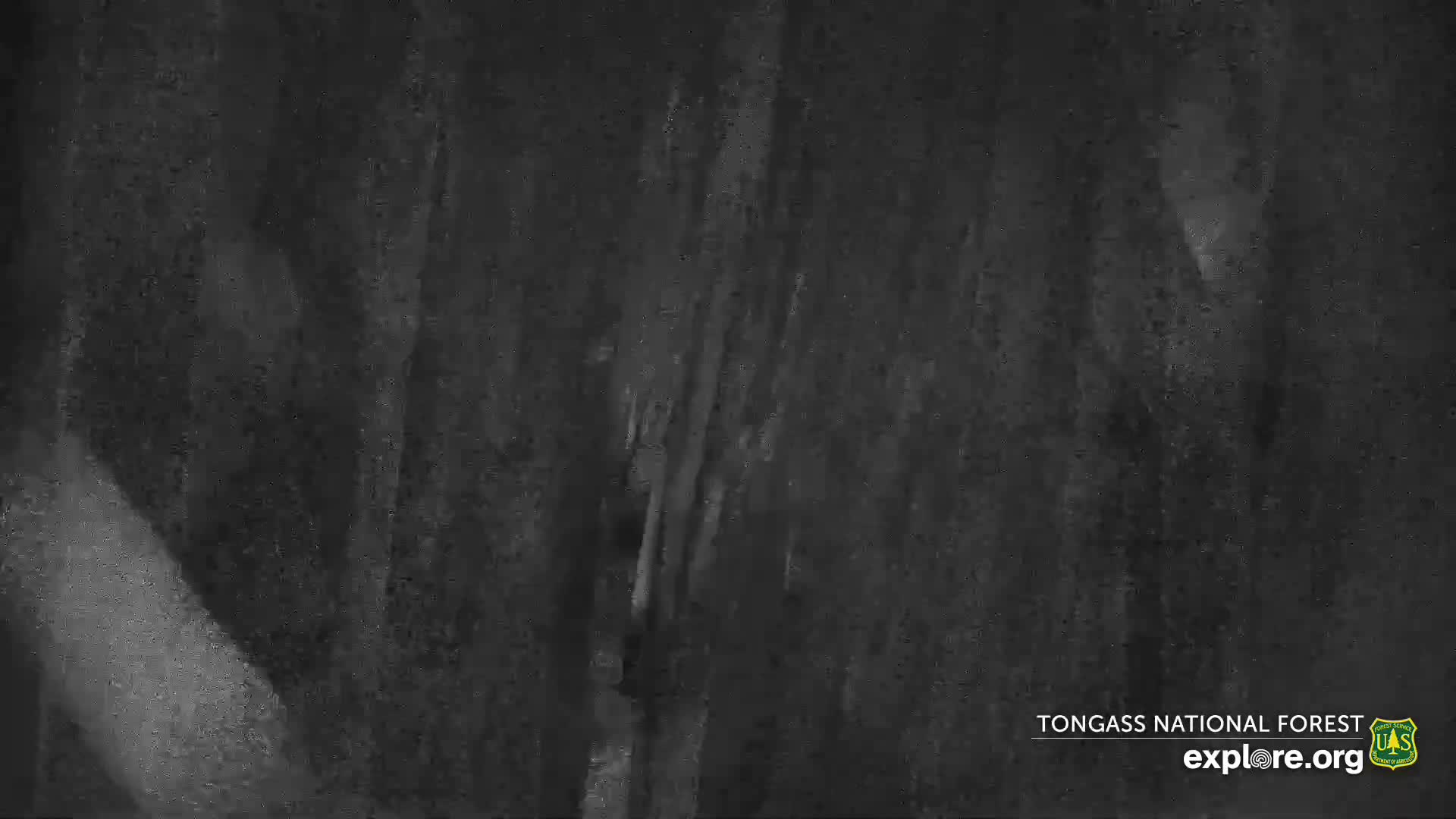 Mendenhall Glacier , Lake & Mountain Live Cam - Mendenhall Valley, Juneau, Alaska, USA