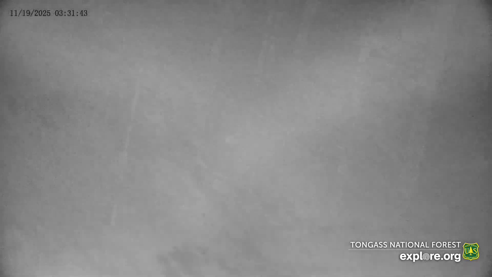 Mendenhall Glacier , Lake & Mountain Live Cam - Mendenhall Valley, Juneau, Alaska, USA