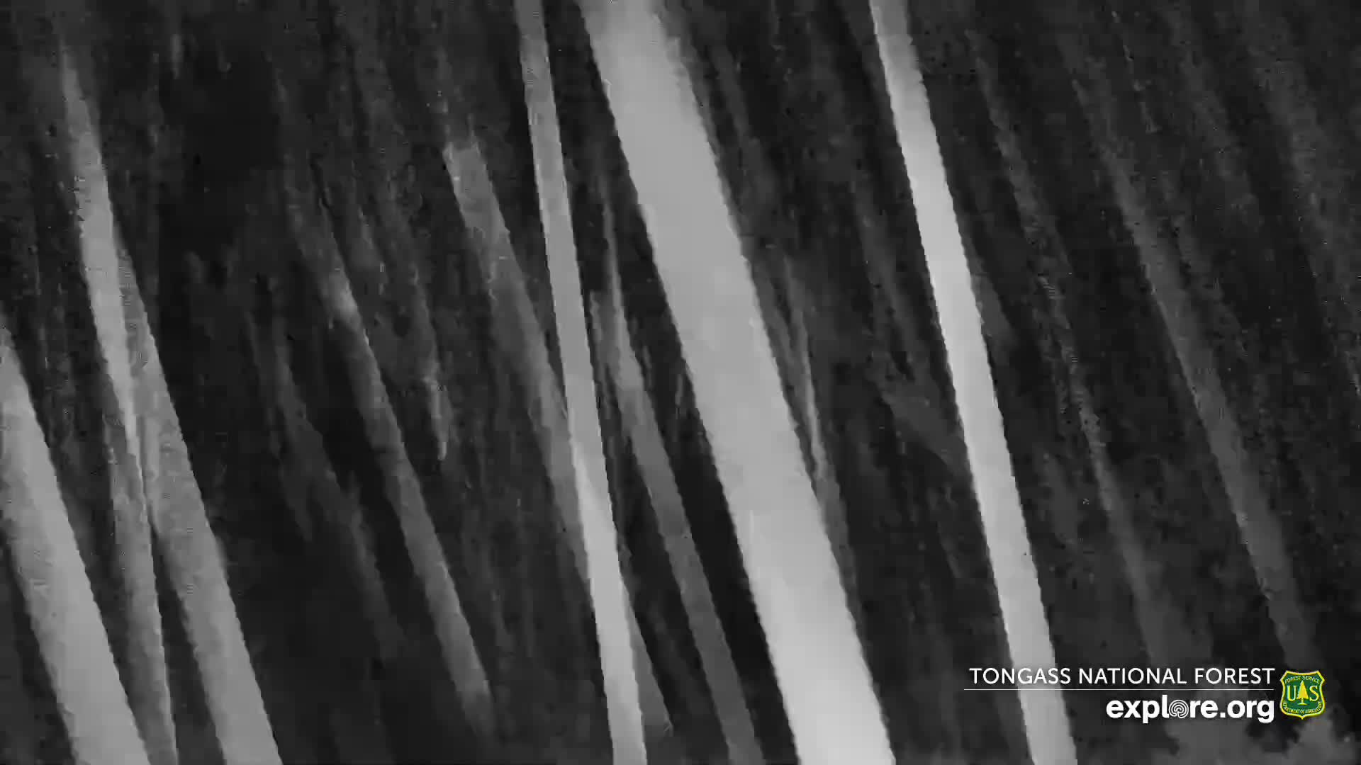 Mendenhall Glacier , Lake & Mountain Live Cam - Mendenhall Valley, Juneau, Alaska, USA