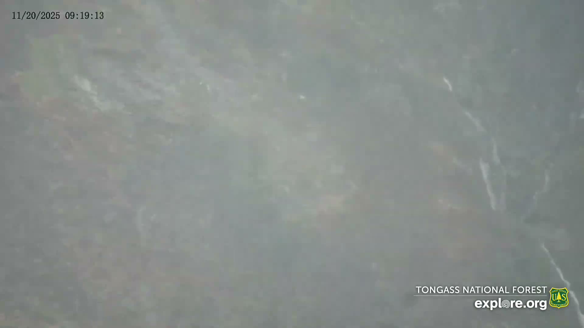 Mendenhall Glacier , Lake & Mountain Live Cam - Mendenhall Valley, Juneau, Alaska, USA