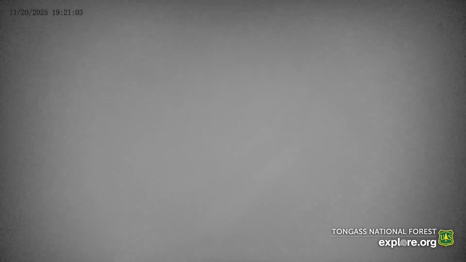 Mendenhall Glacier , Lake & Mountain Live Cam - Mendenhall Valley, Juneau, Alaska, USA