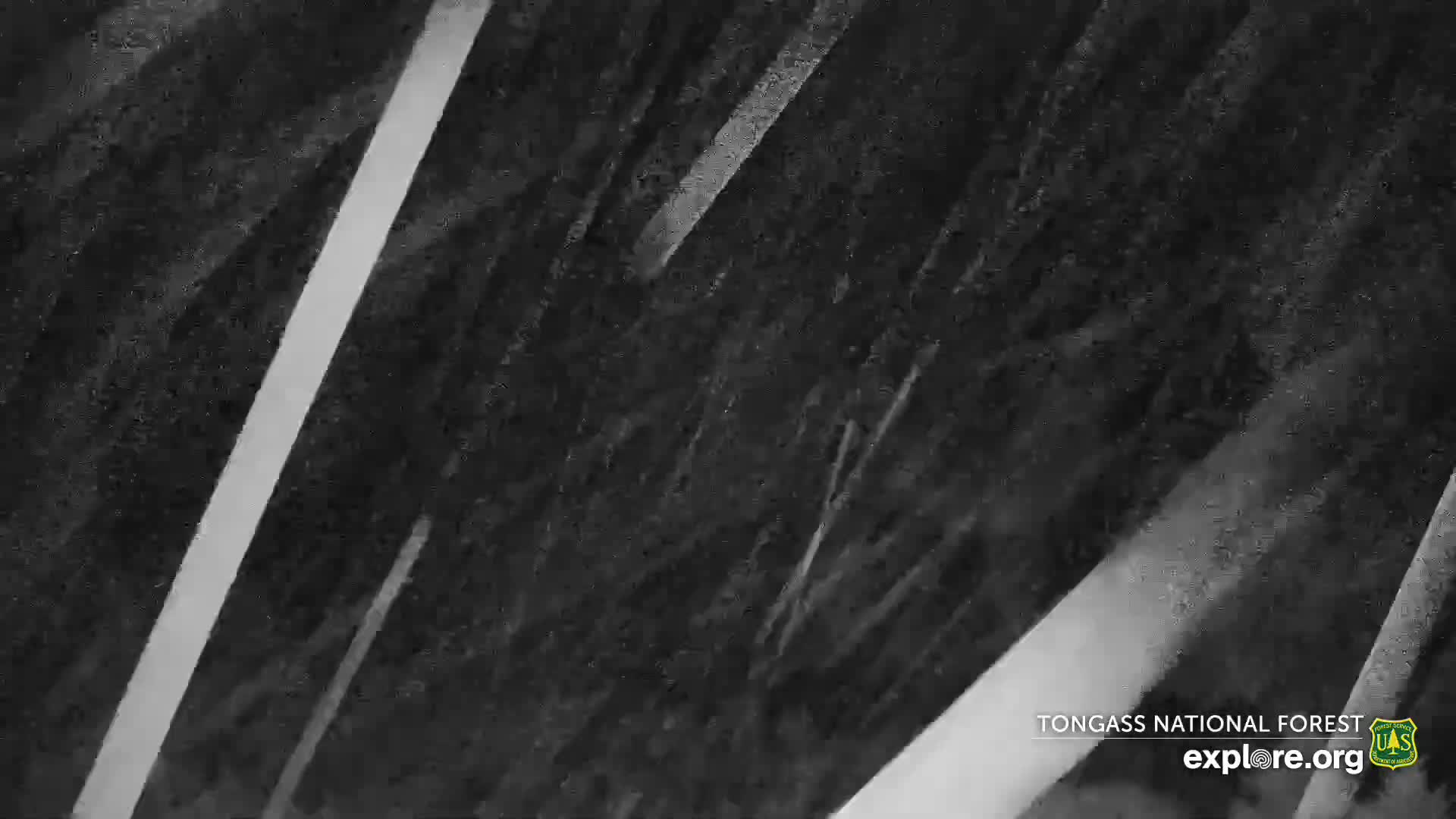 Mendenhall Glacier , Lake & Mountain Live Cam - Mendenhall Valley, Juneau, Alaska, USA