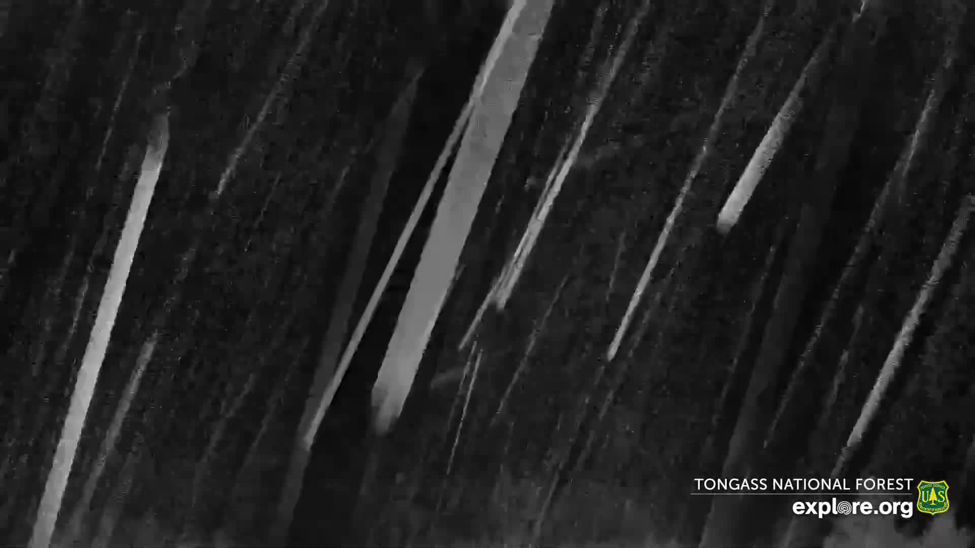 Mendenhall Glacier , Lake & Mountain Live Cam - Mendenhall Valley, Juneau, Alaska, USA