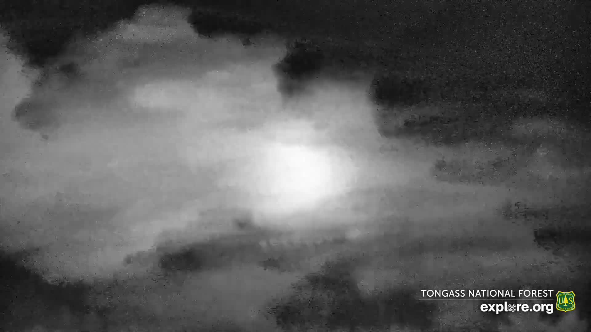 Mendenhall Glacier , Lake & Mountain Live Cam - Mendenhall Valley, Juneau, Alaska, USA