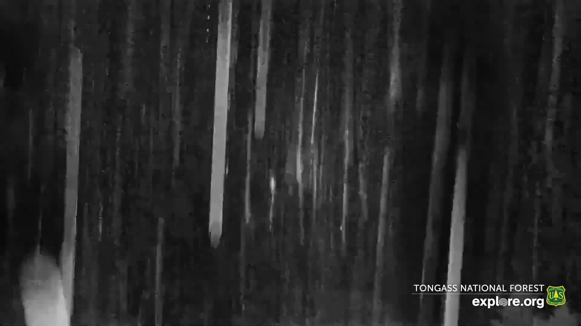 Mendenhall Glacier , Lake & Mountain Live Cam - Mendenhall Valley, Juneau, Alaska, USA